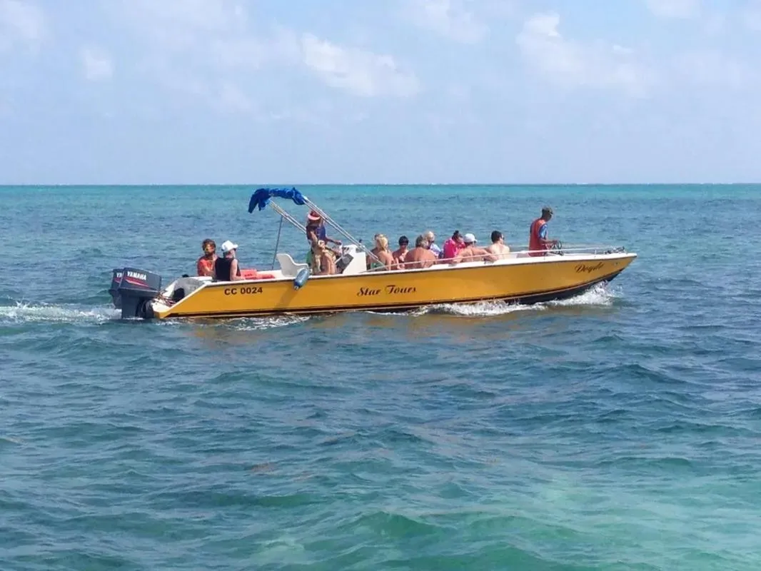 Snorkeling in Tropical Paradise Express