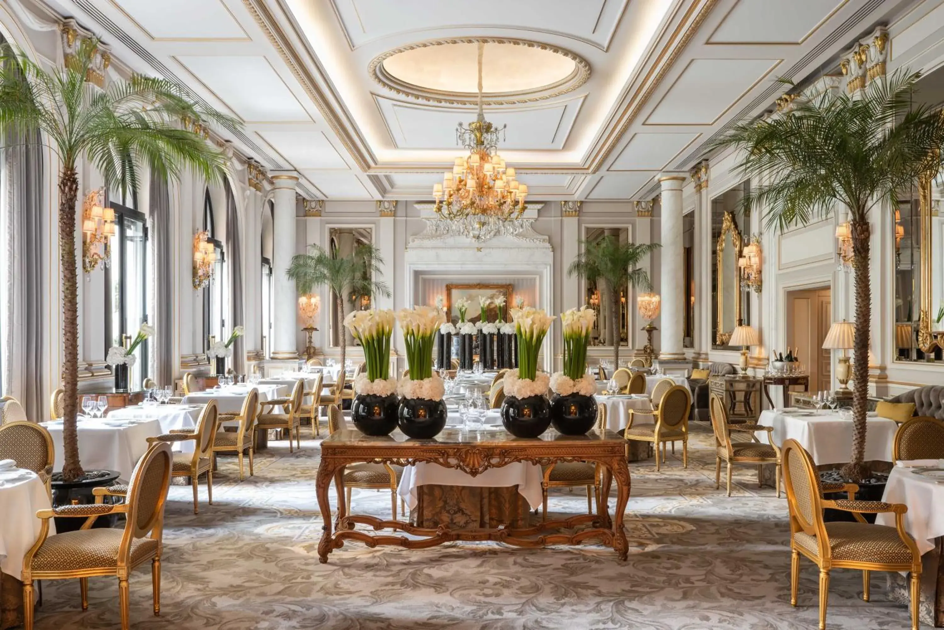 Restaurant/places to eat in Four Seasons Hotel George V Paris Restaurant/places to eat in Four Seasons Hotel George V Paris