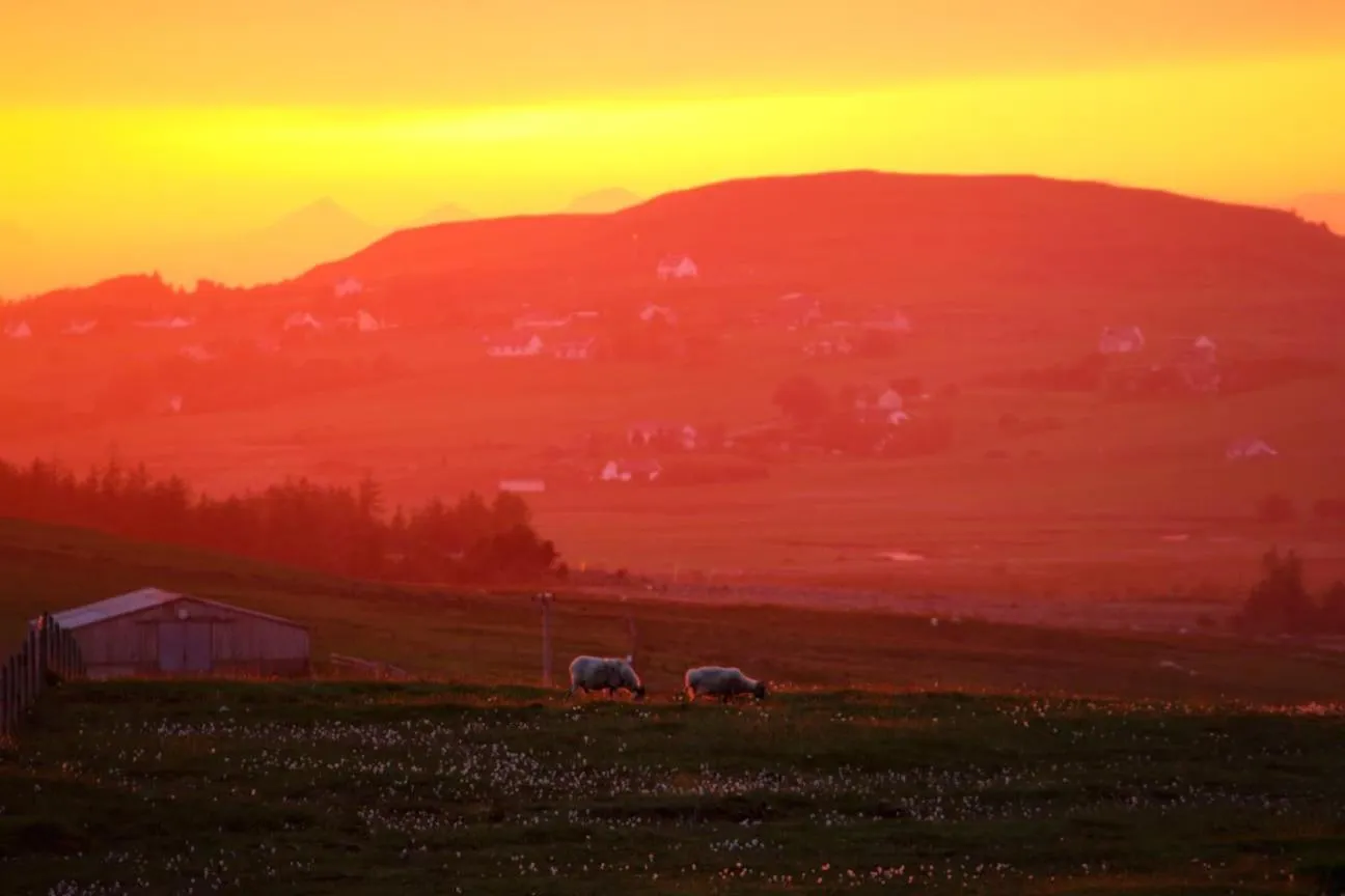 The Red Red Robin Cottage
