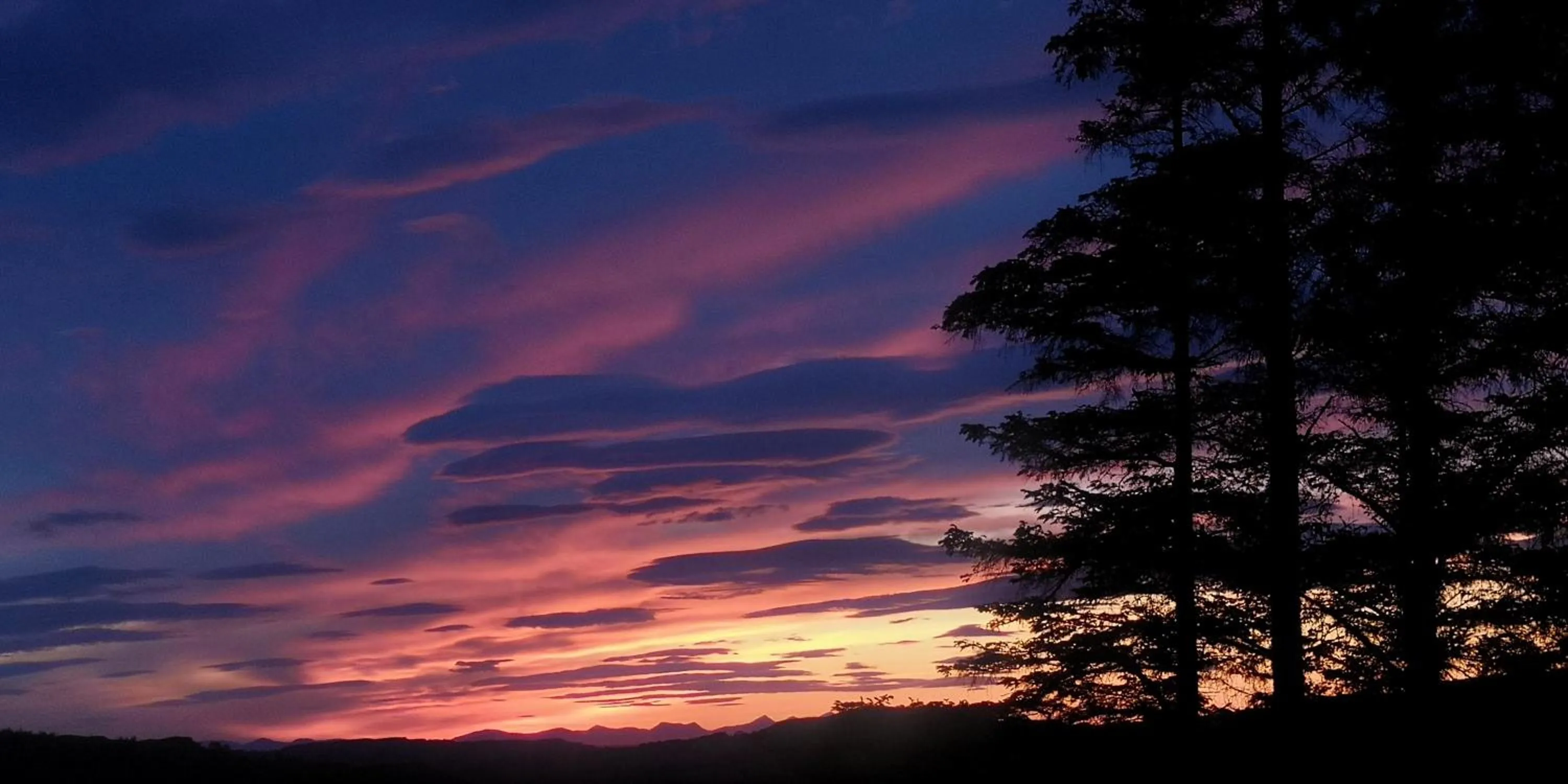 The Red Red Robin Cottage