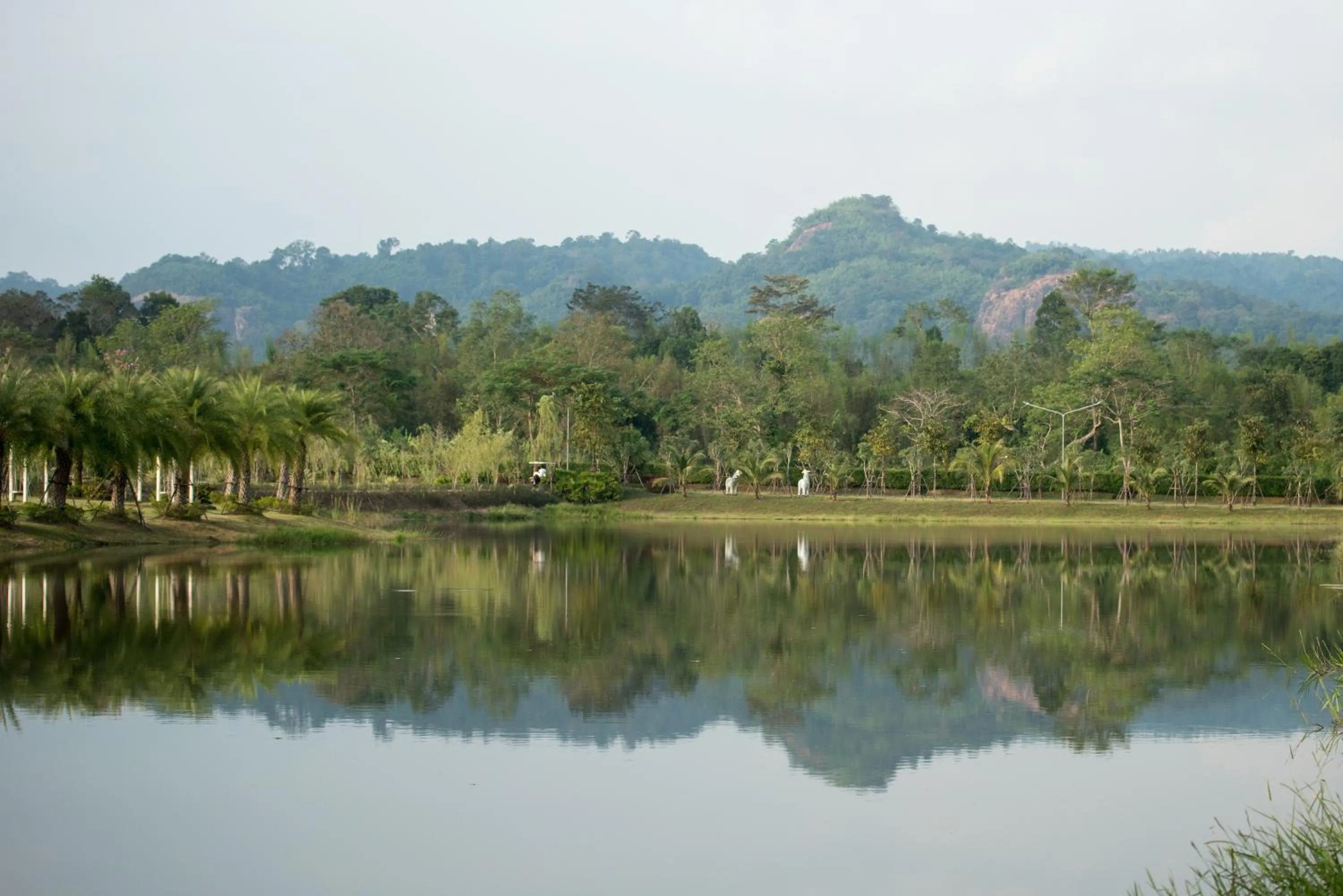 Ravin Home ราวินโฮม