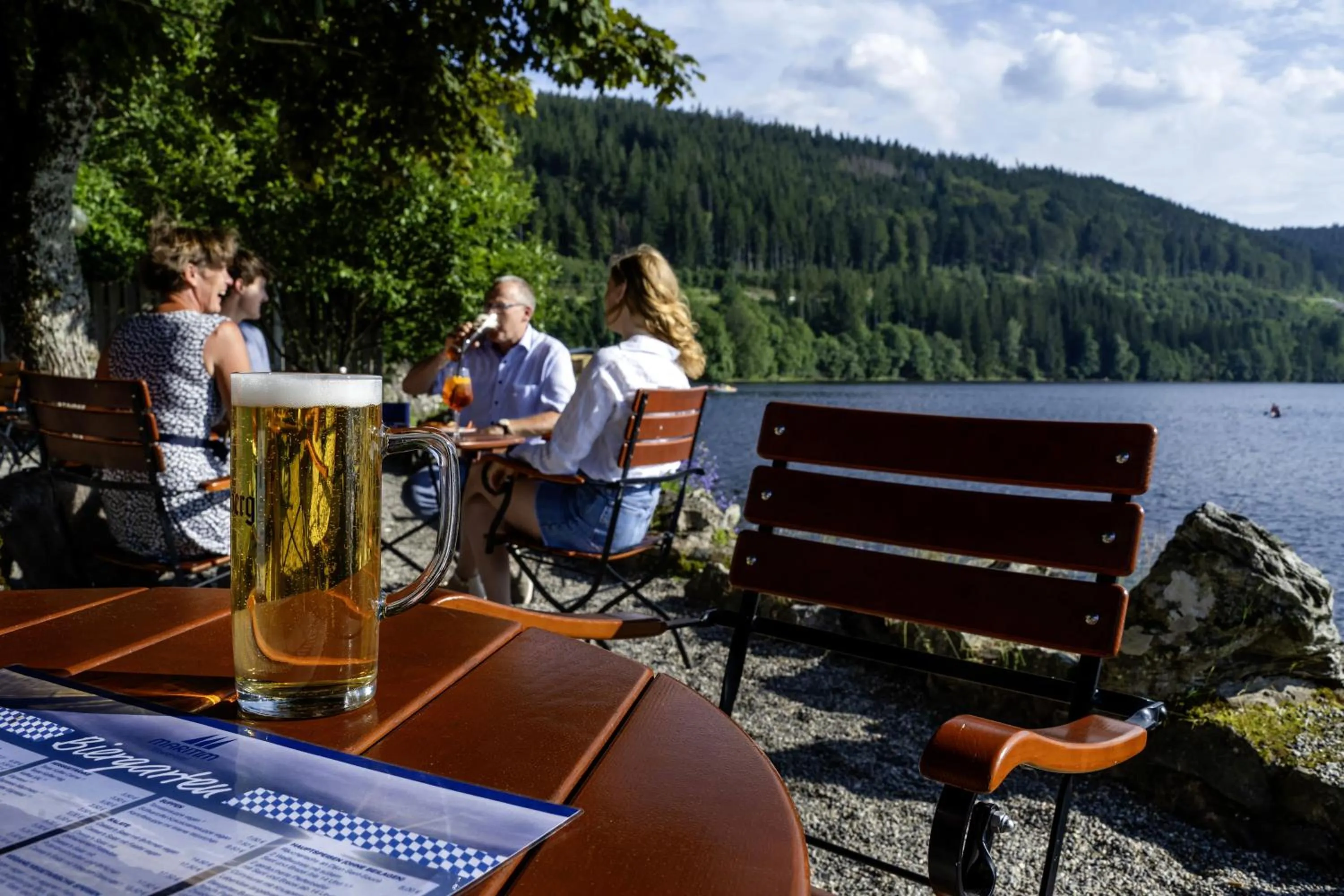 Lake view in Maritim Titisee Hotel