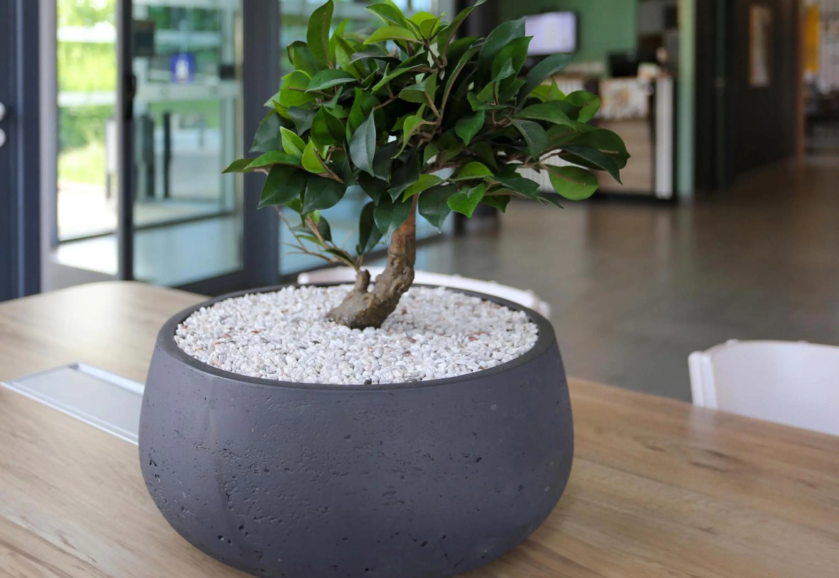 Decorative detail in B&B HOTEL Reims Bezannes