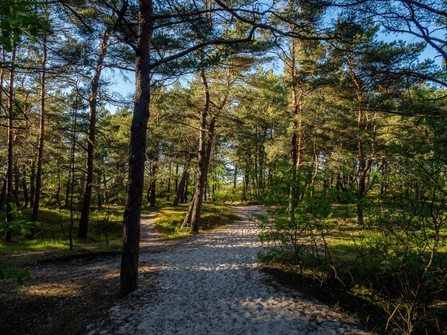Natural landscape in Nova Fala
