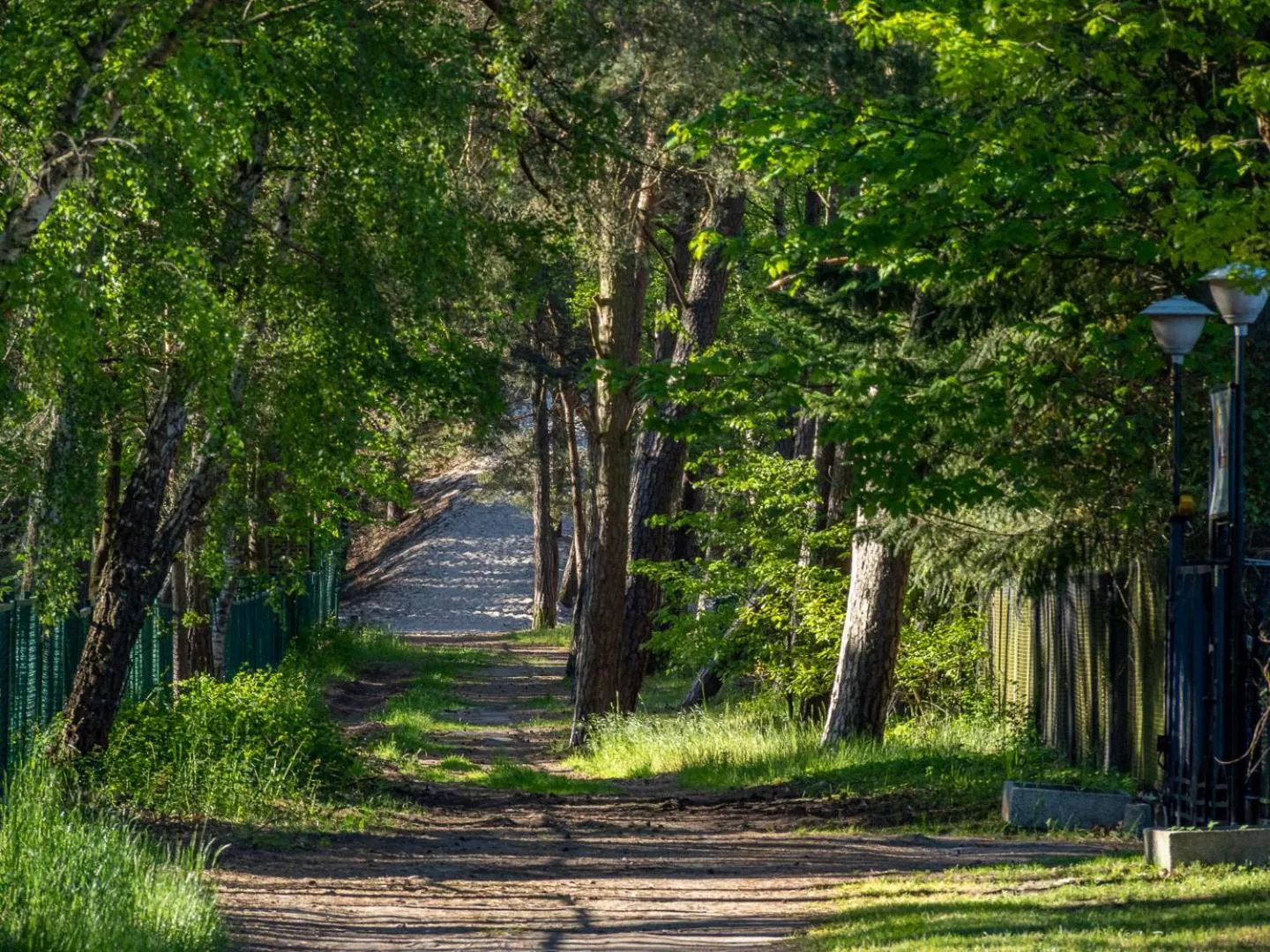 Natural landscape in Nova Fala