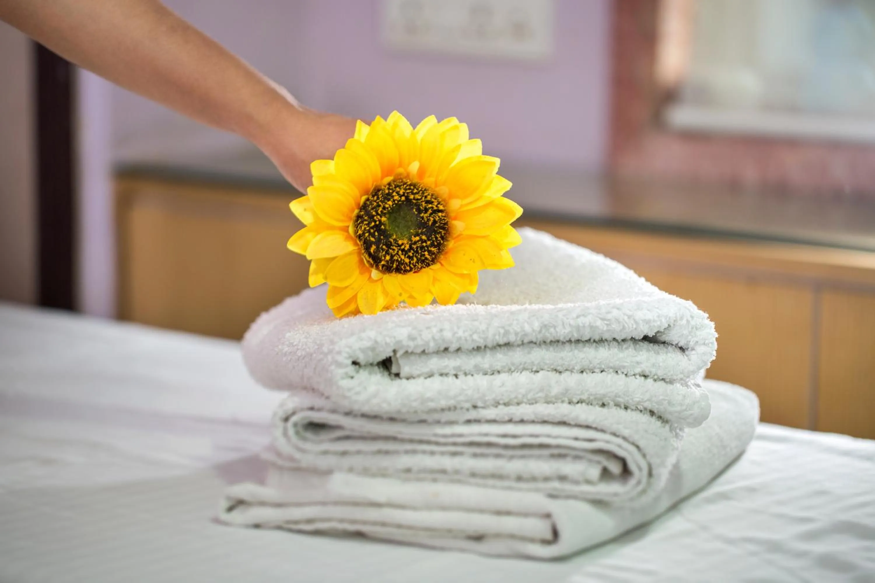 Food, Bed in Hotel Ganpati Palace