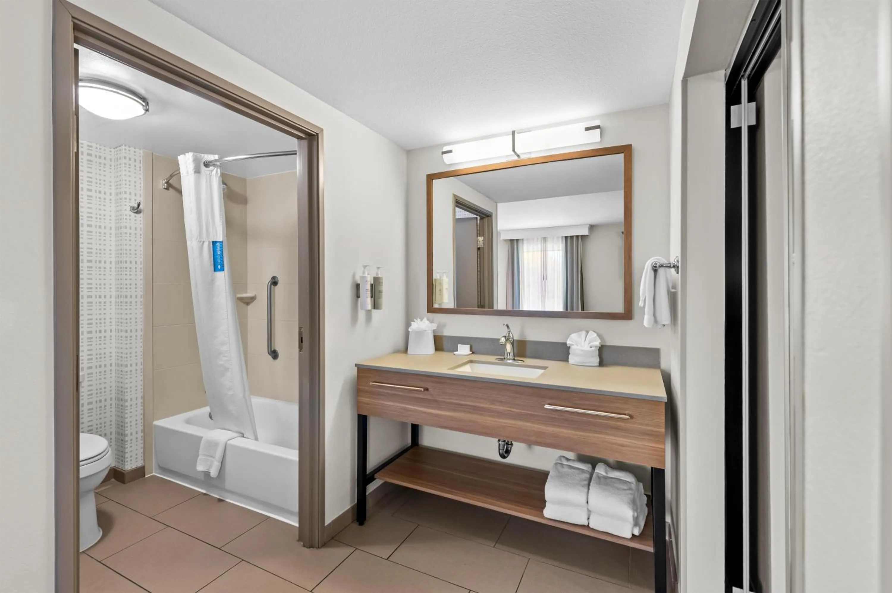 Bathroom in Hampton Inn Texarkana