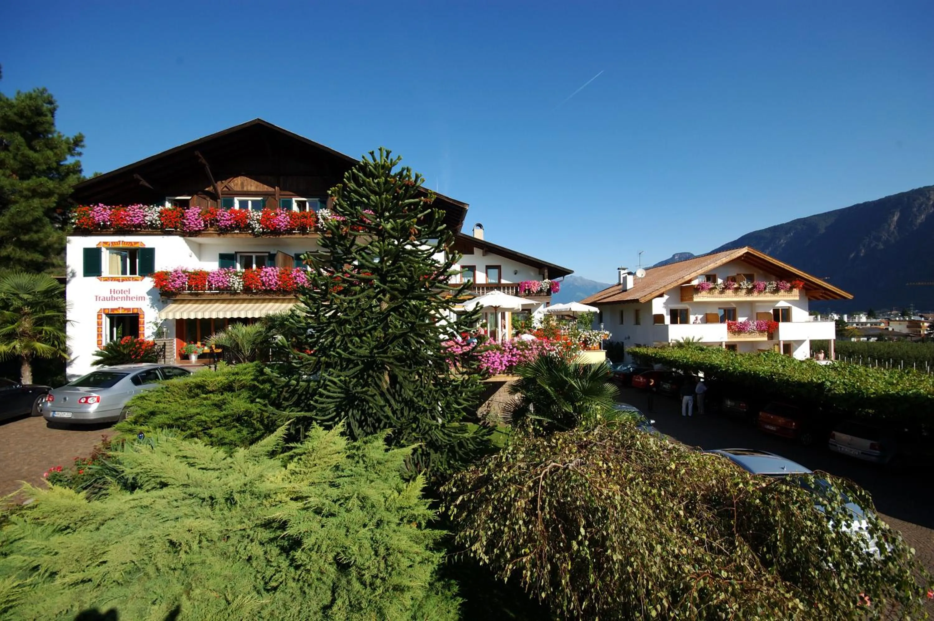 Hotel & Residenz Traubenheim