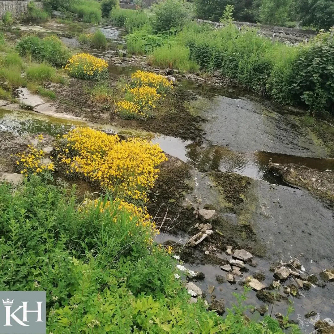 Kings Head - Riverside, Ravenstonedale