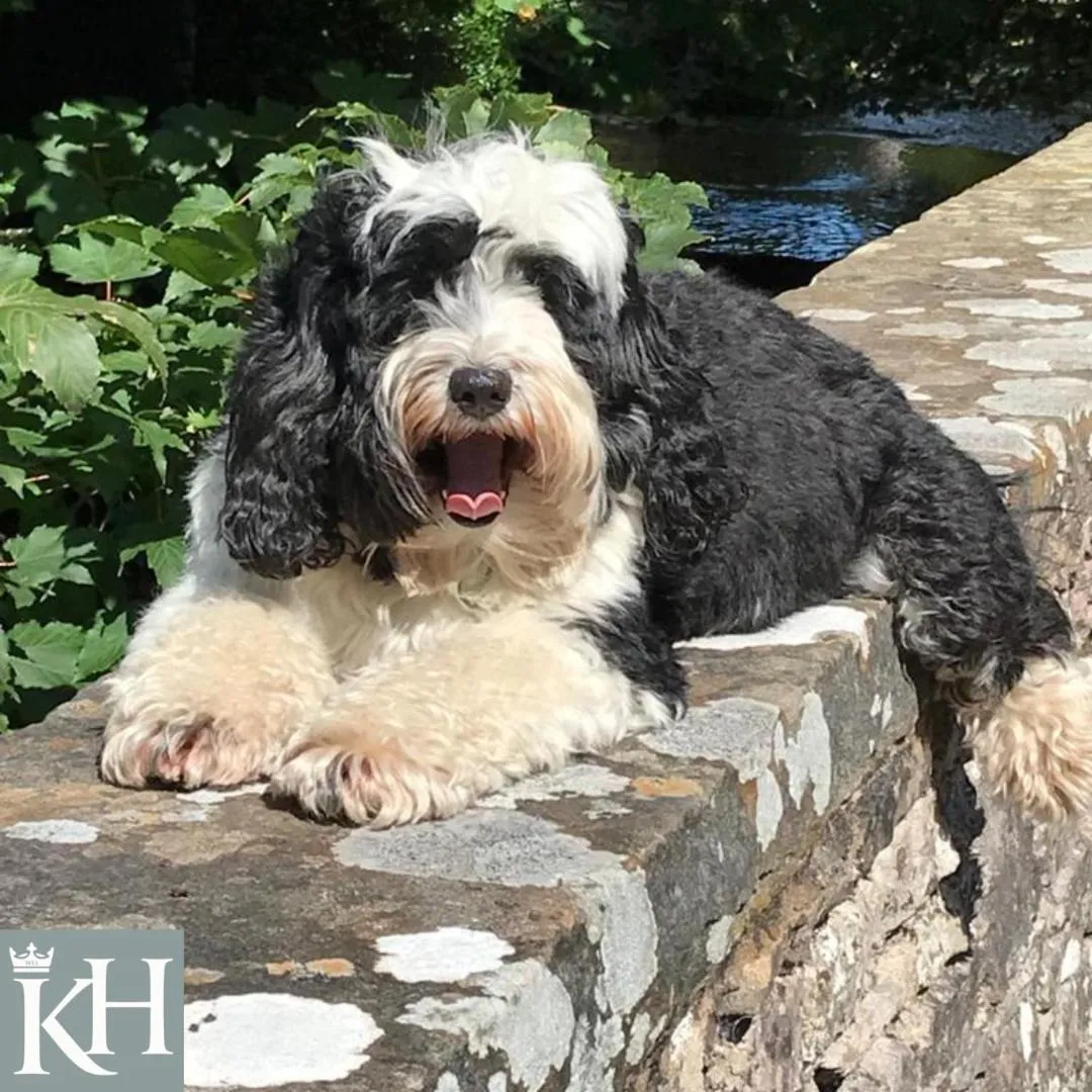 Kings Head - Riverside, Ravenstonedale