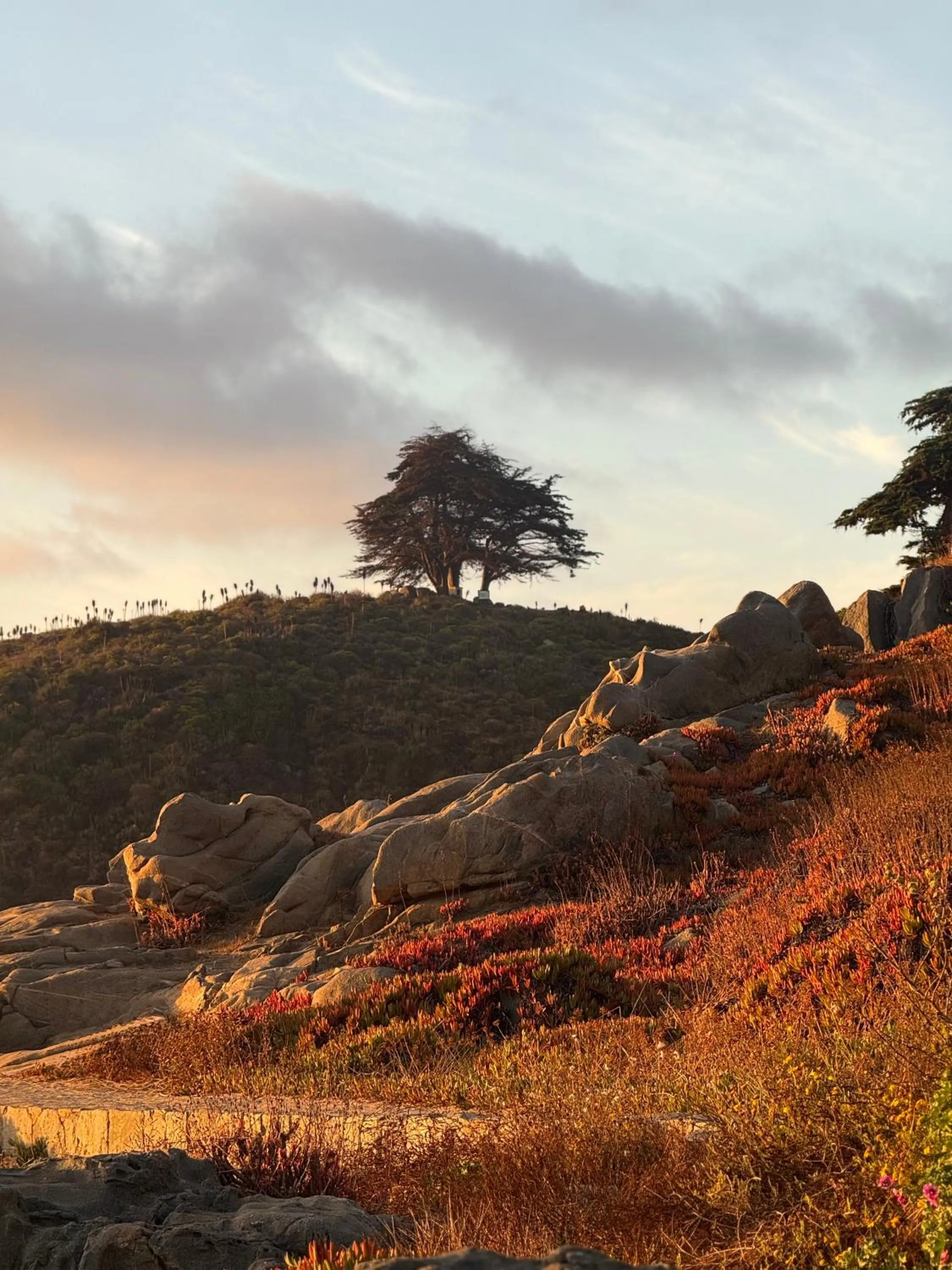 Lofts - Casa El Pangue, Zapallar