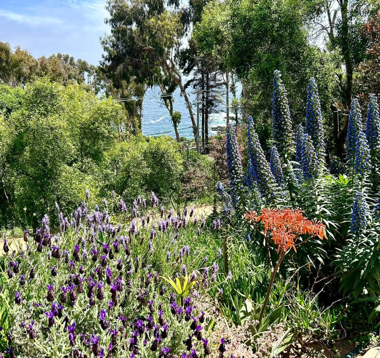 Lofts - Casa El Pangue, Zapallar