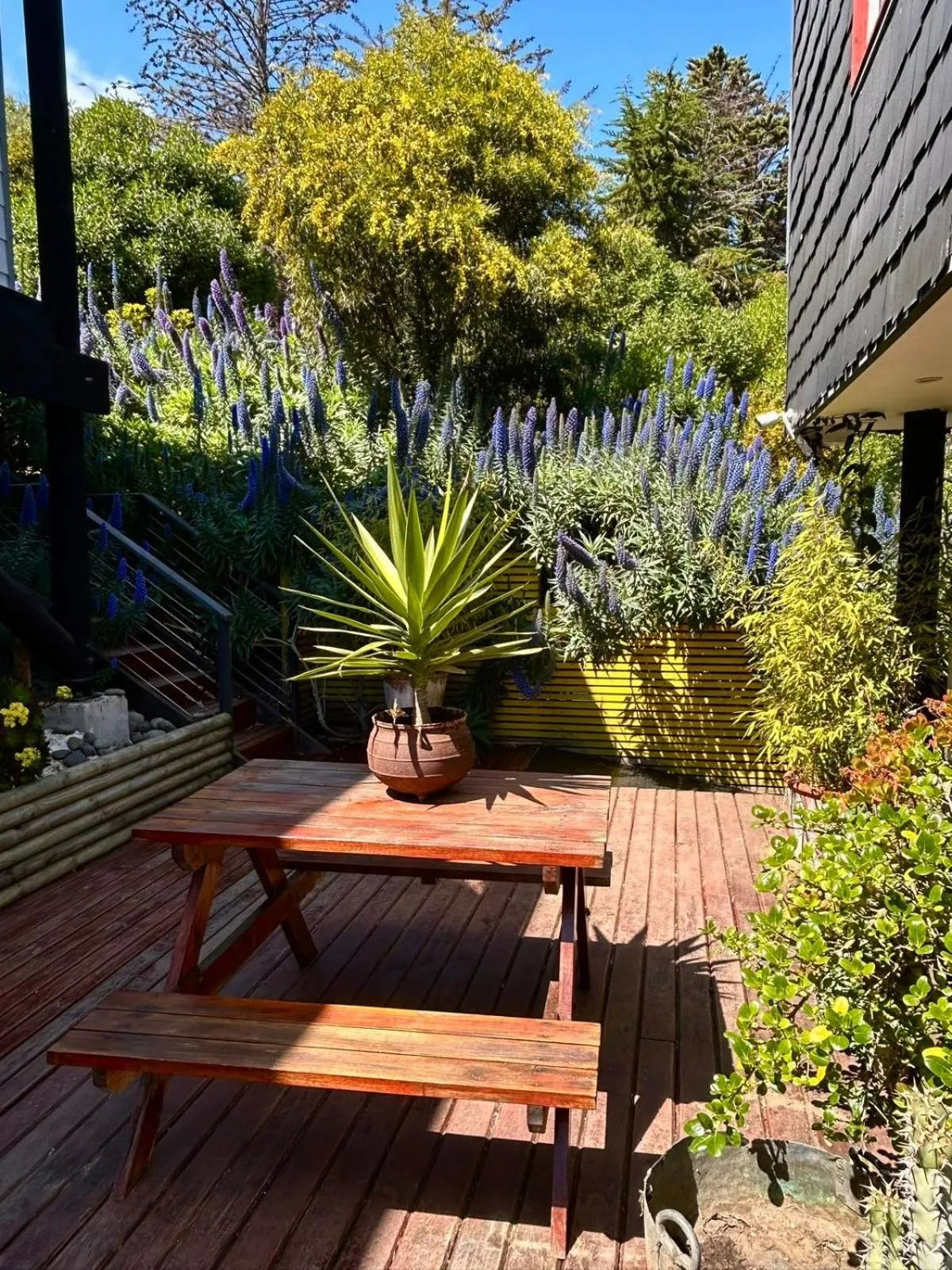 Lofts - Casa El Pangue, Zapallar