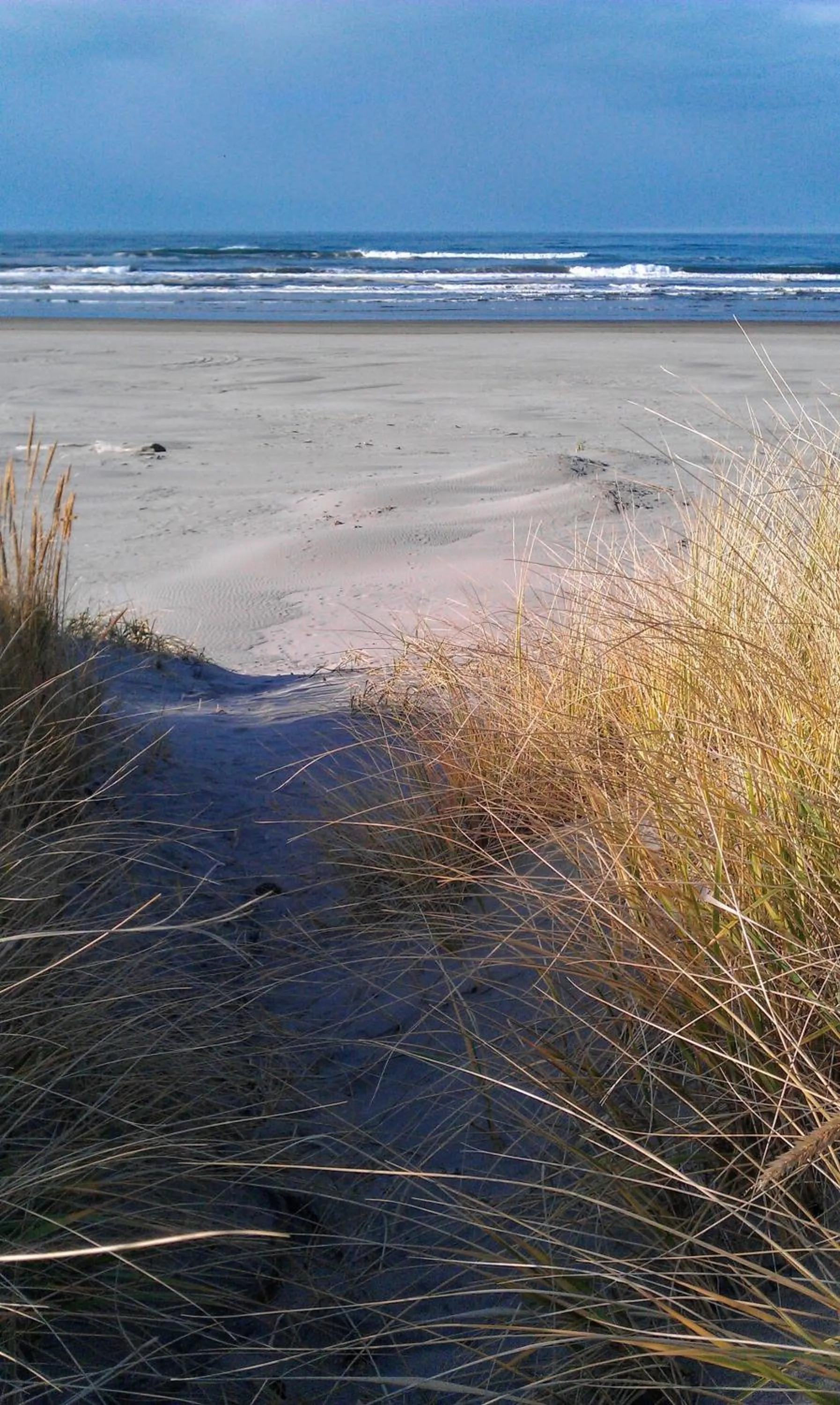 Historic 1920s Cabin