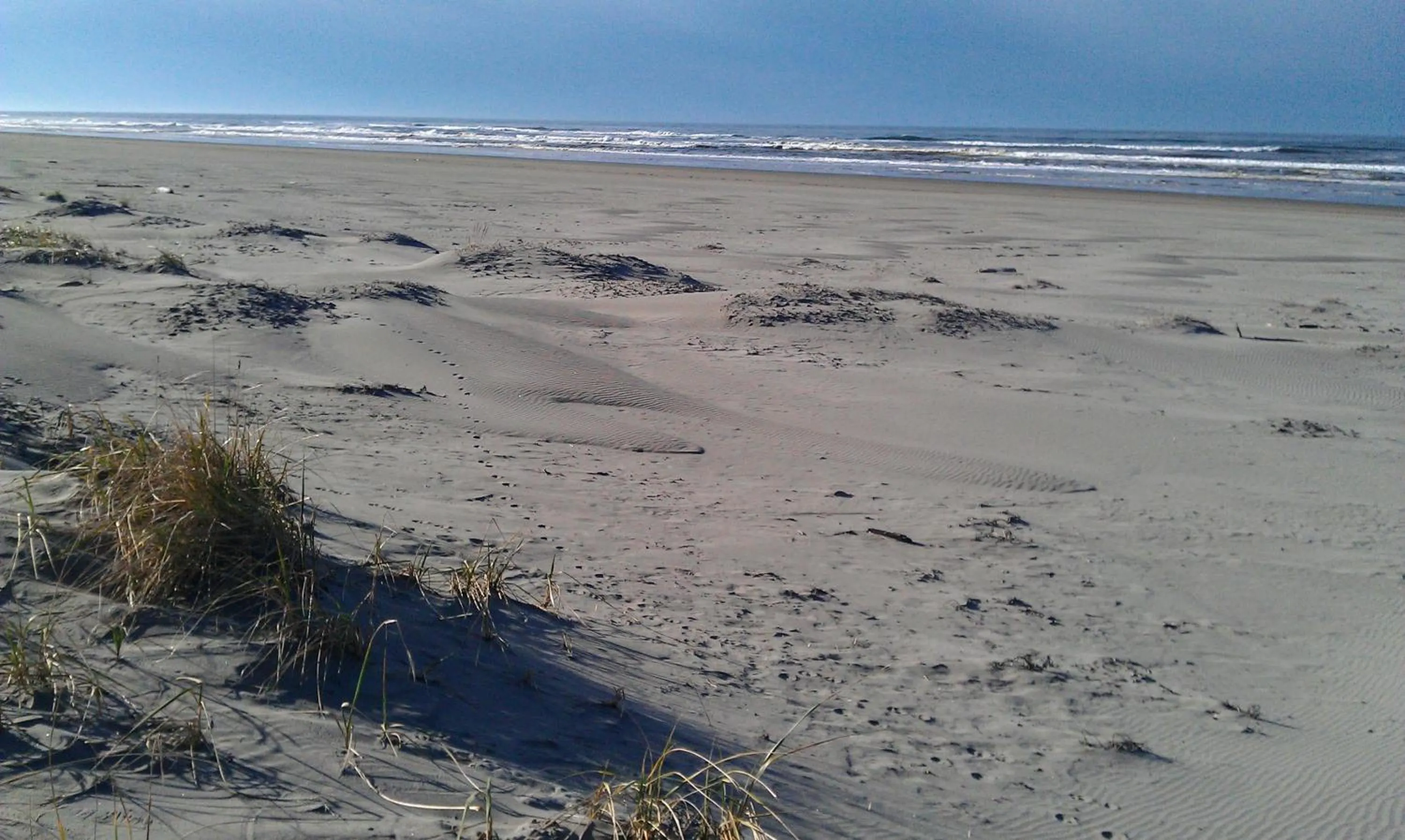 Beach in Historic 1920s Cabin