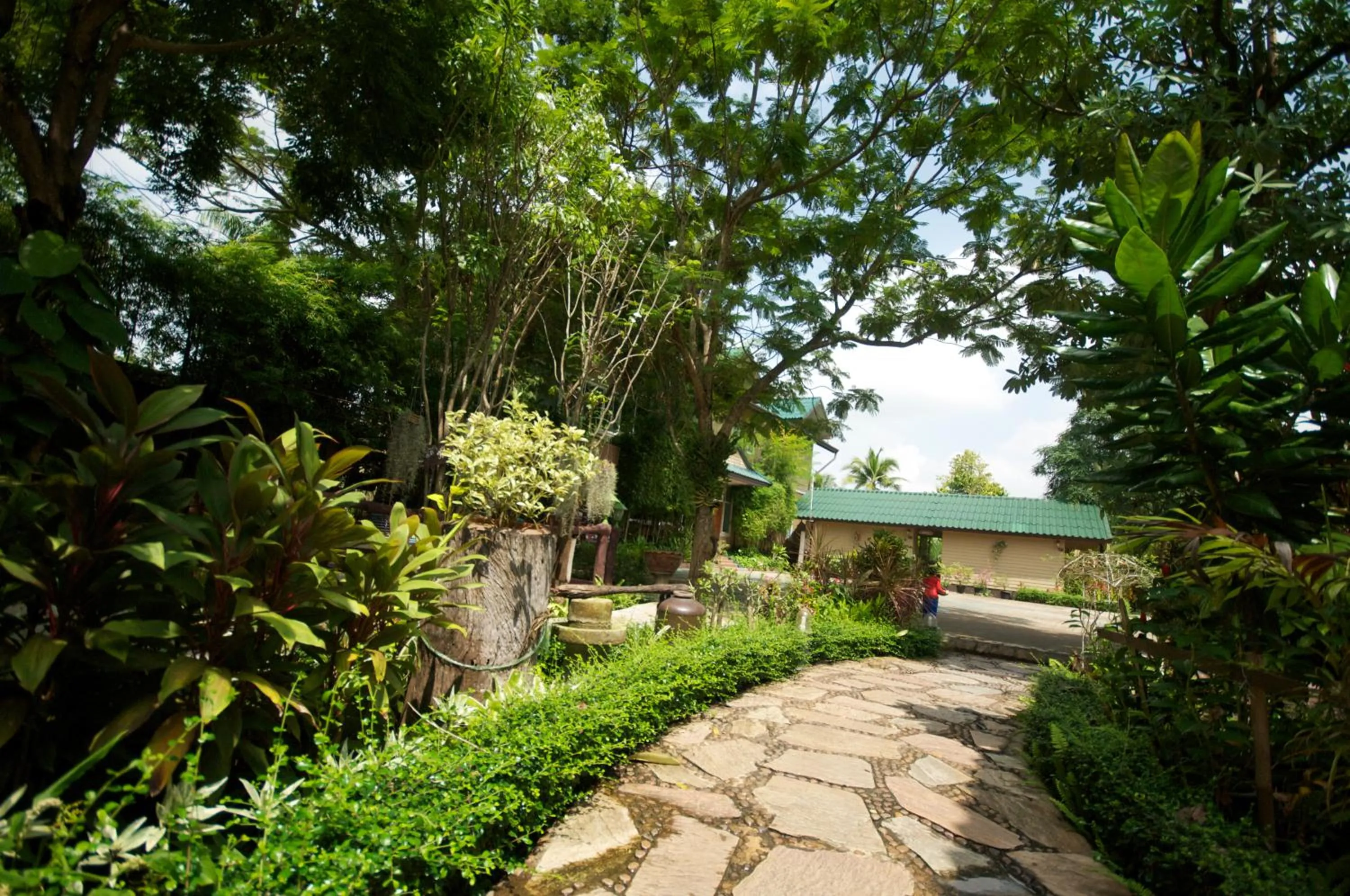 Natural landscape in Baantip Suantong