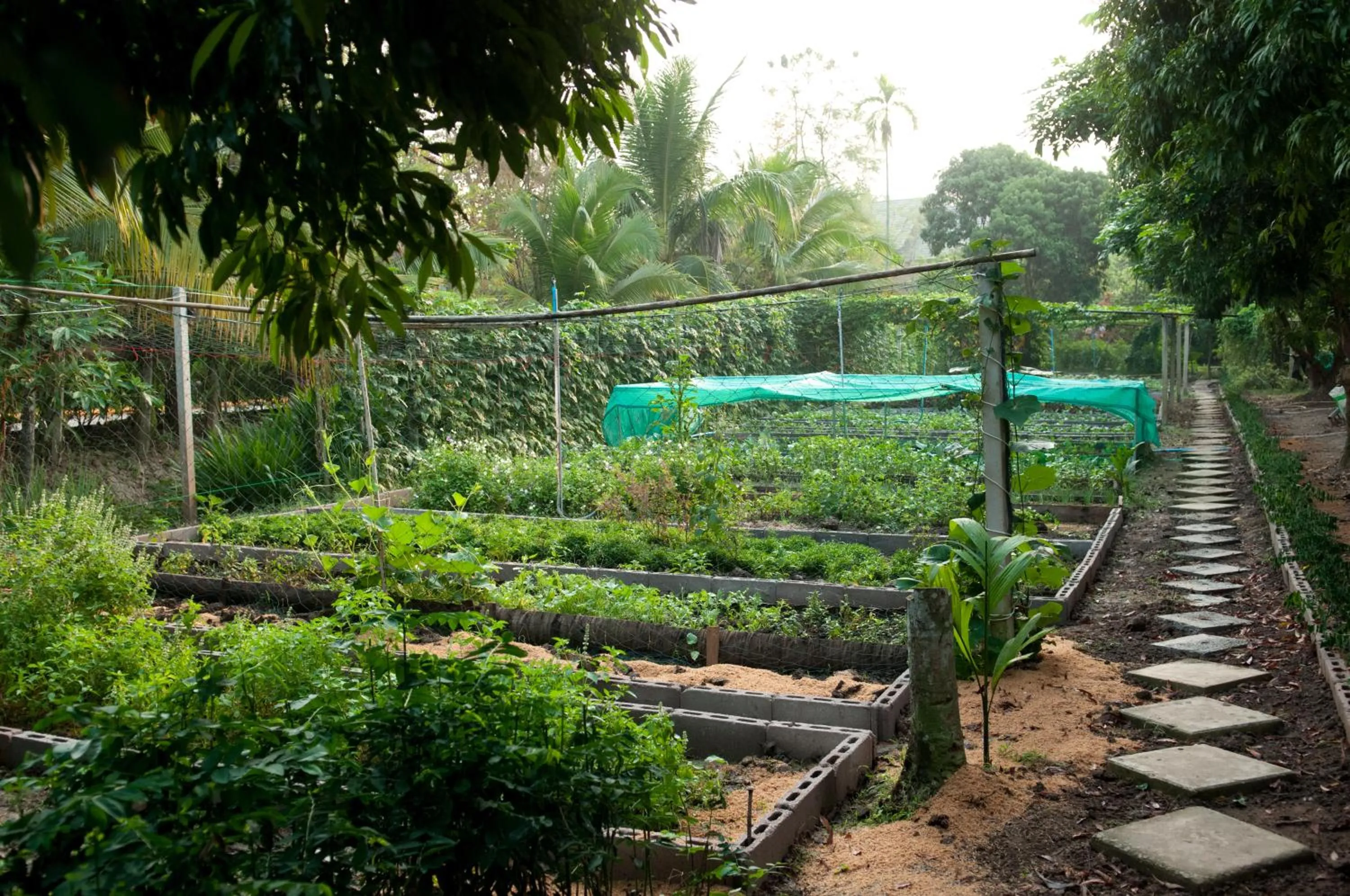 Natural landscape in Baantip Suantong