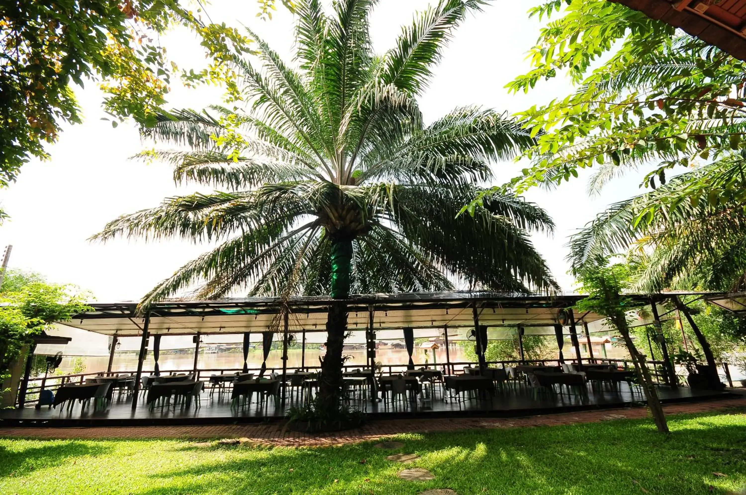 Restaurant/places to eat in Baantip Suantong Restaurant/places to eat in Baantip Suantong