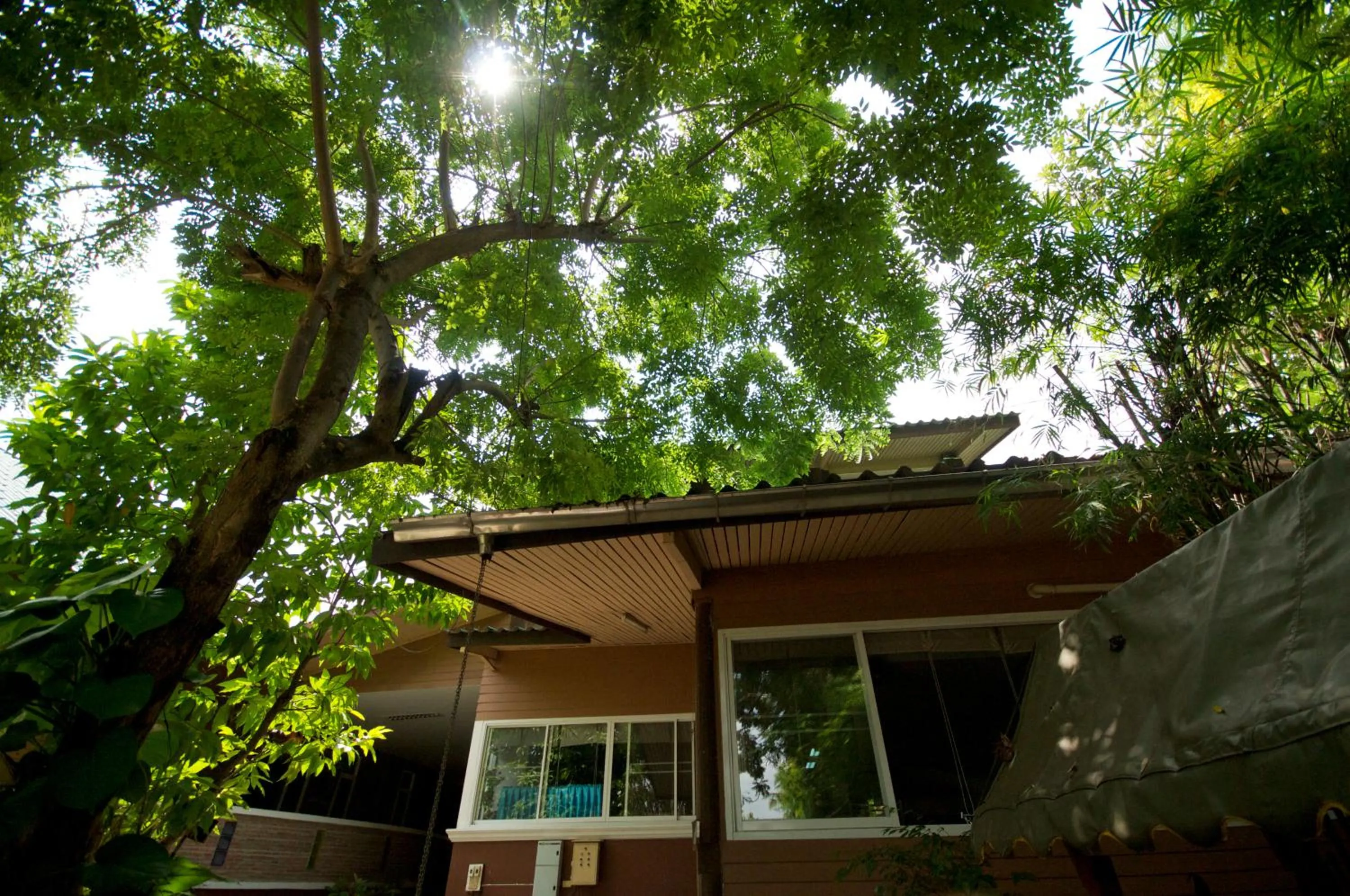 Decorative detail in Baantip Suantong