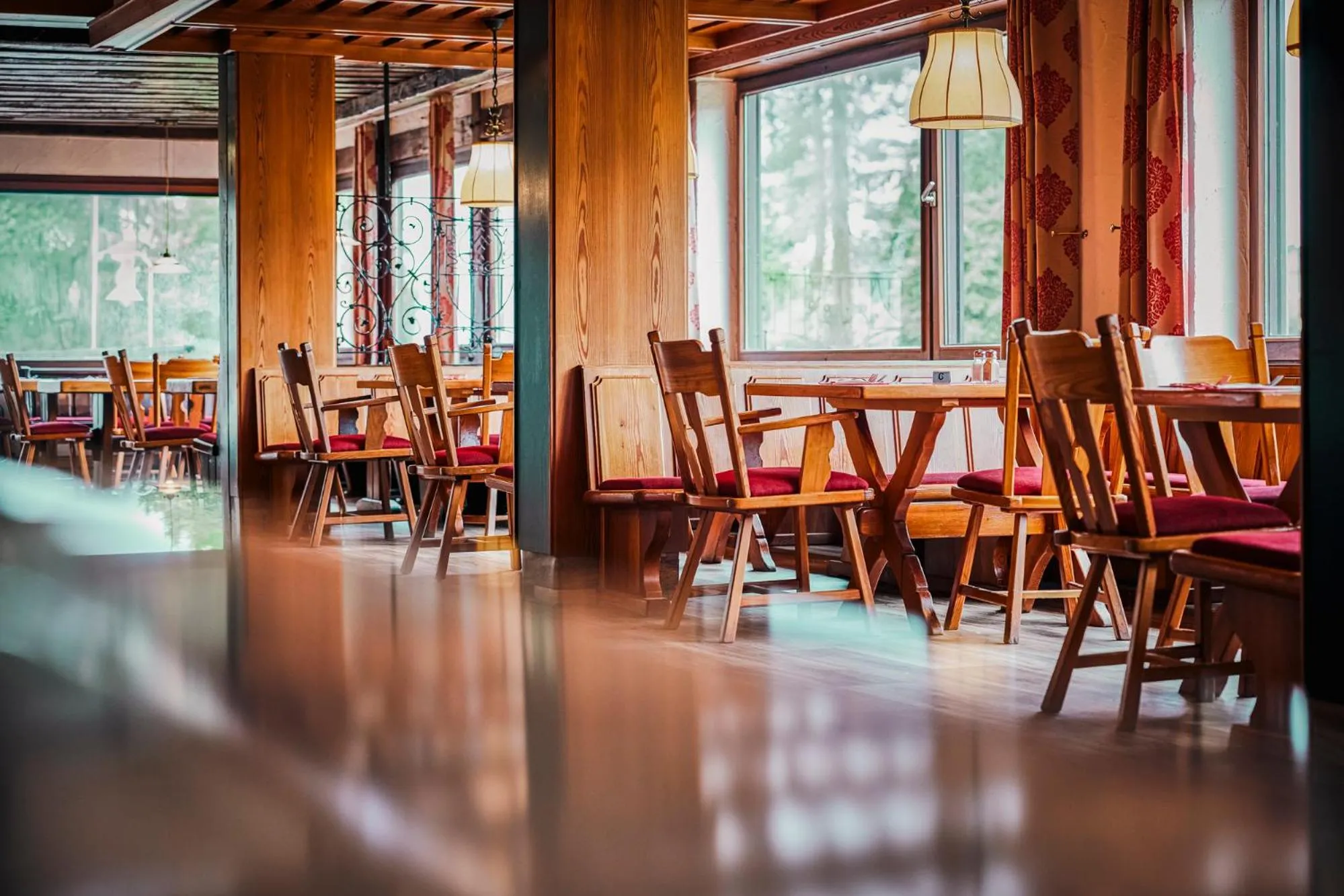 Restaurant/places to eat in Sauerland Alpin Hotel