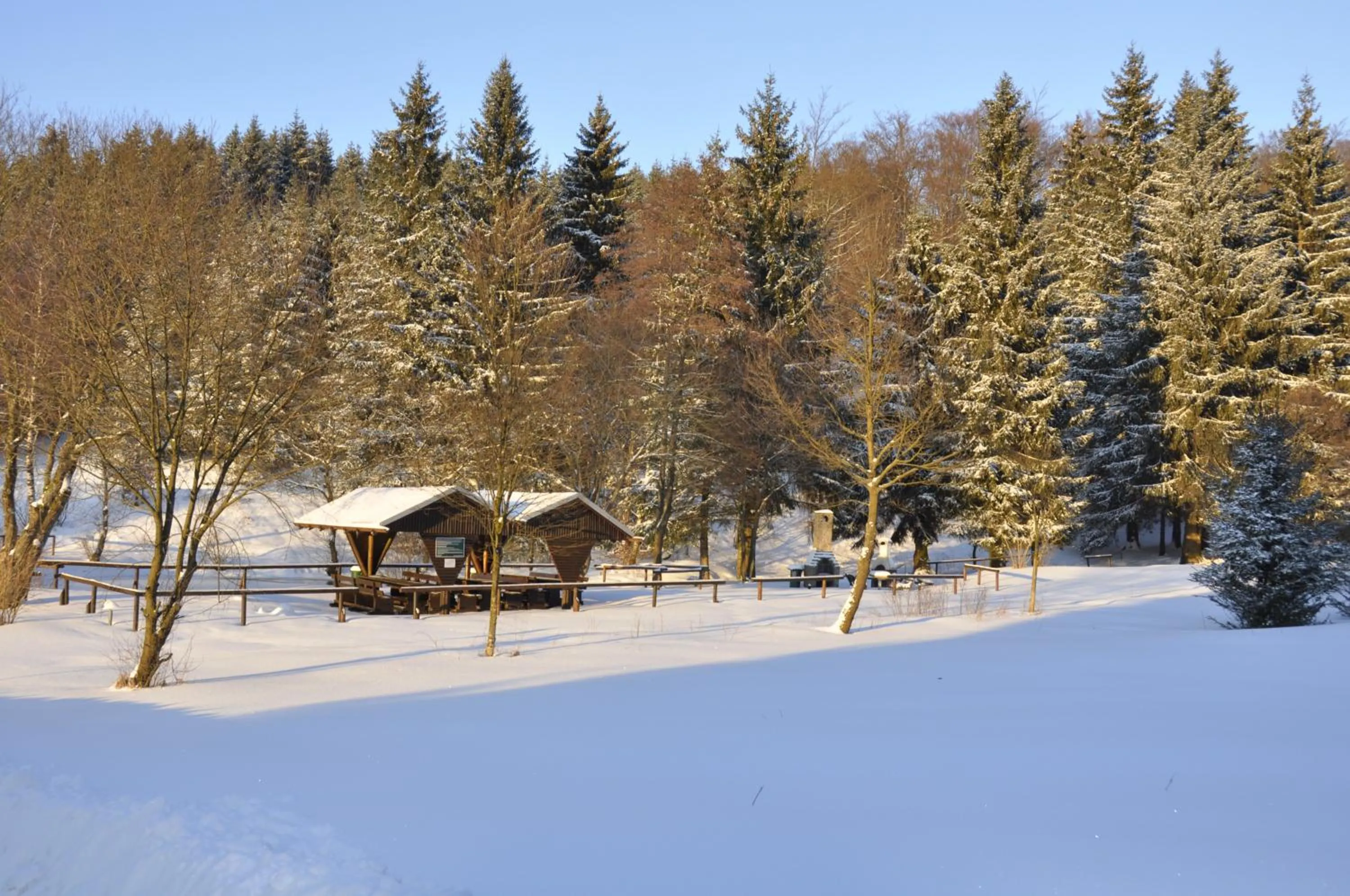 Area and facilities in Hotel Berggarten