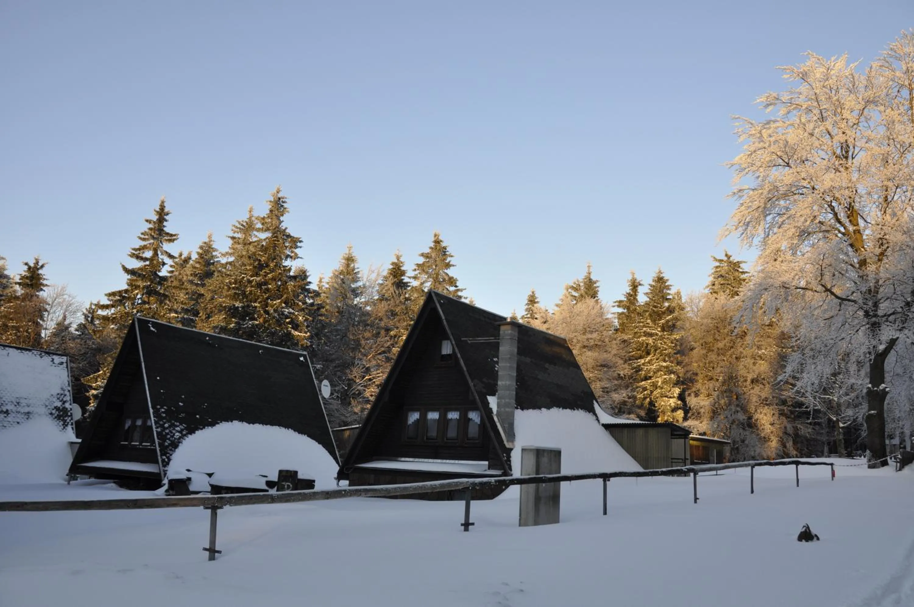 Area and facilities in Hotel Berggarten