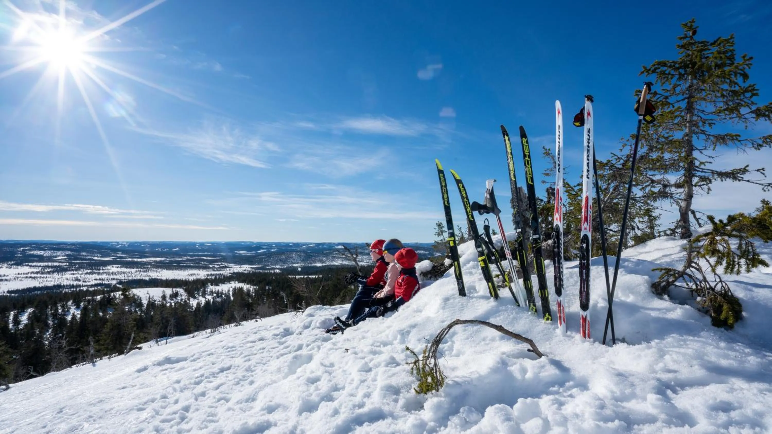 Activities in Villa Sole, Trysil