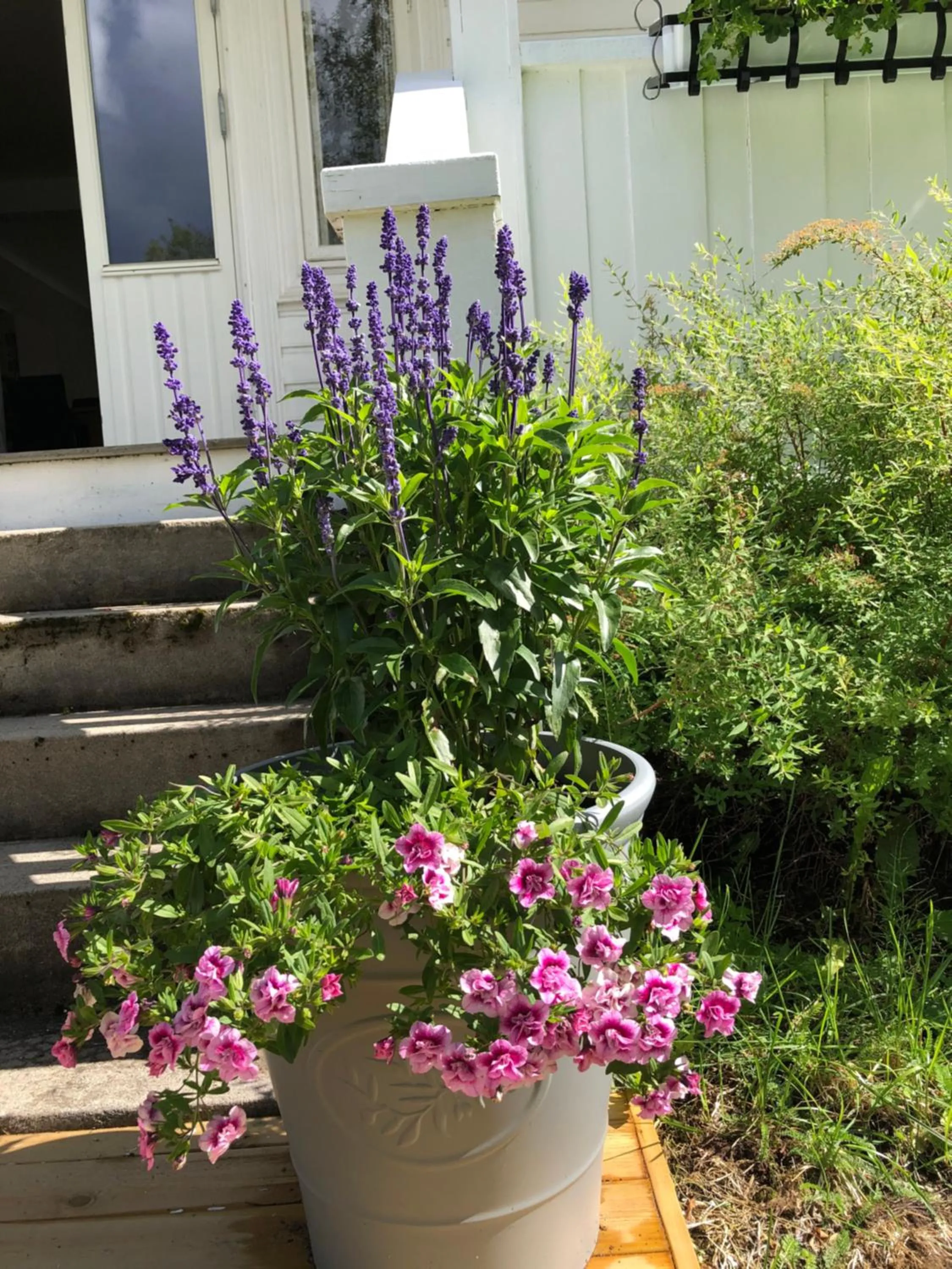Balcony/Terrace in Villa Sole, Trysil