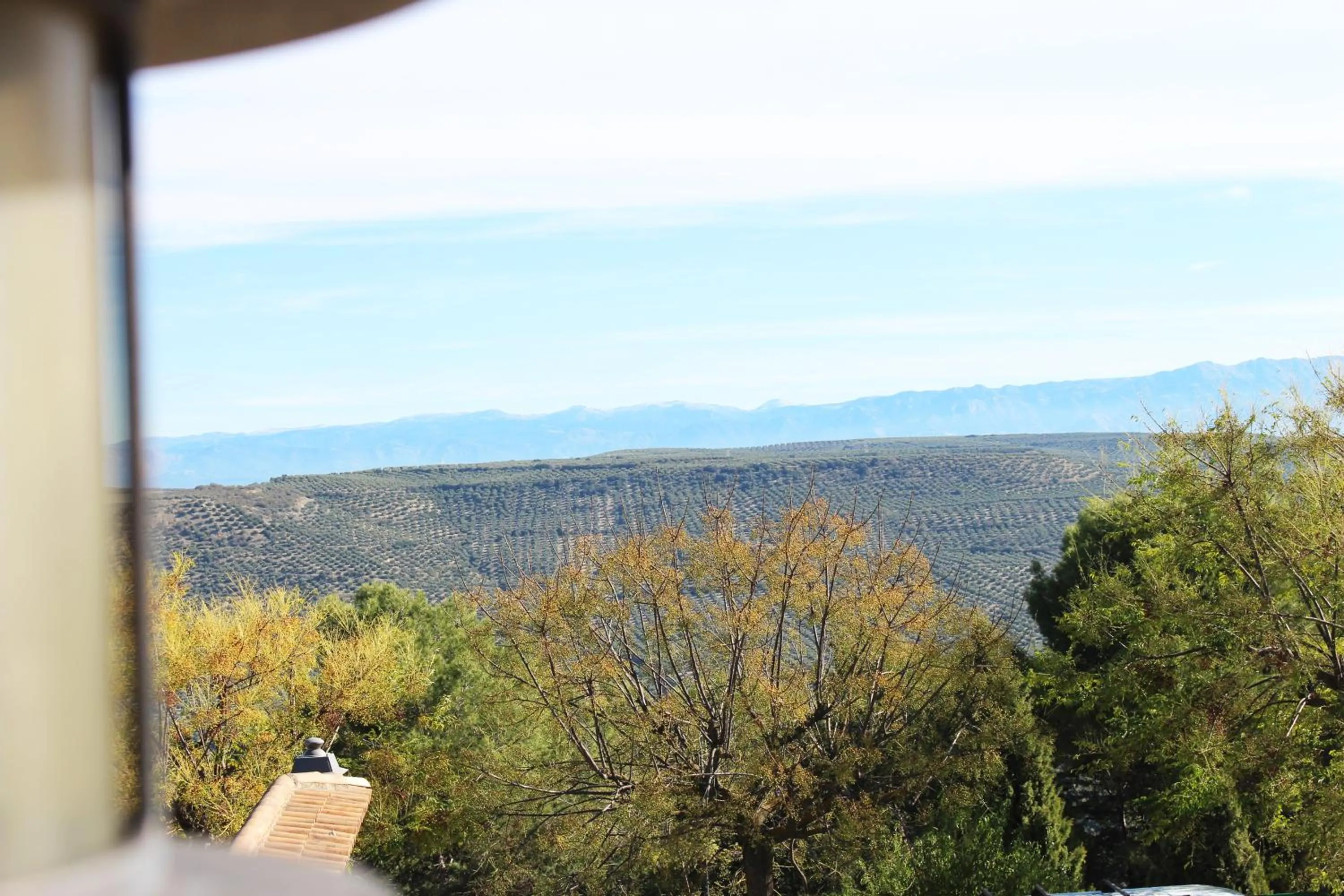 Natural landscape in Hotel Rural Molino del Albaicín