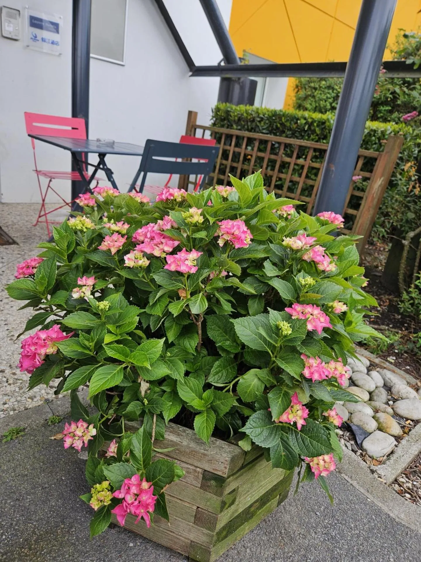 Spring in Premiere Classe Arras - Tilloy Les Mofflaine