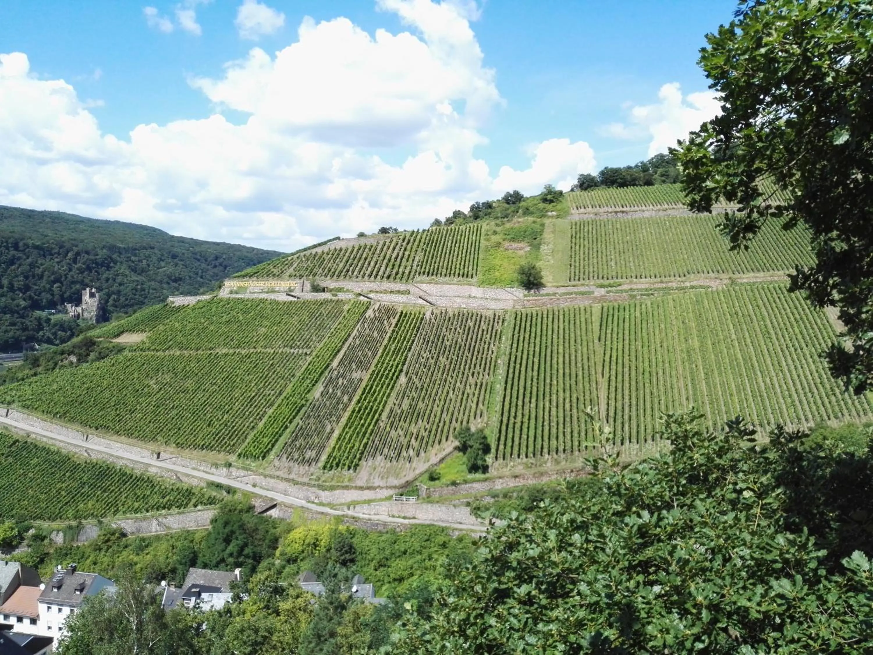 Hiking in Hotel Trapp