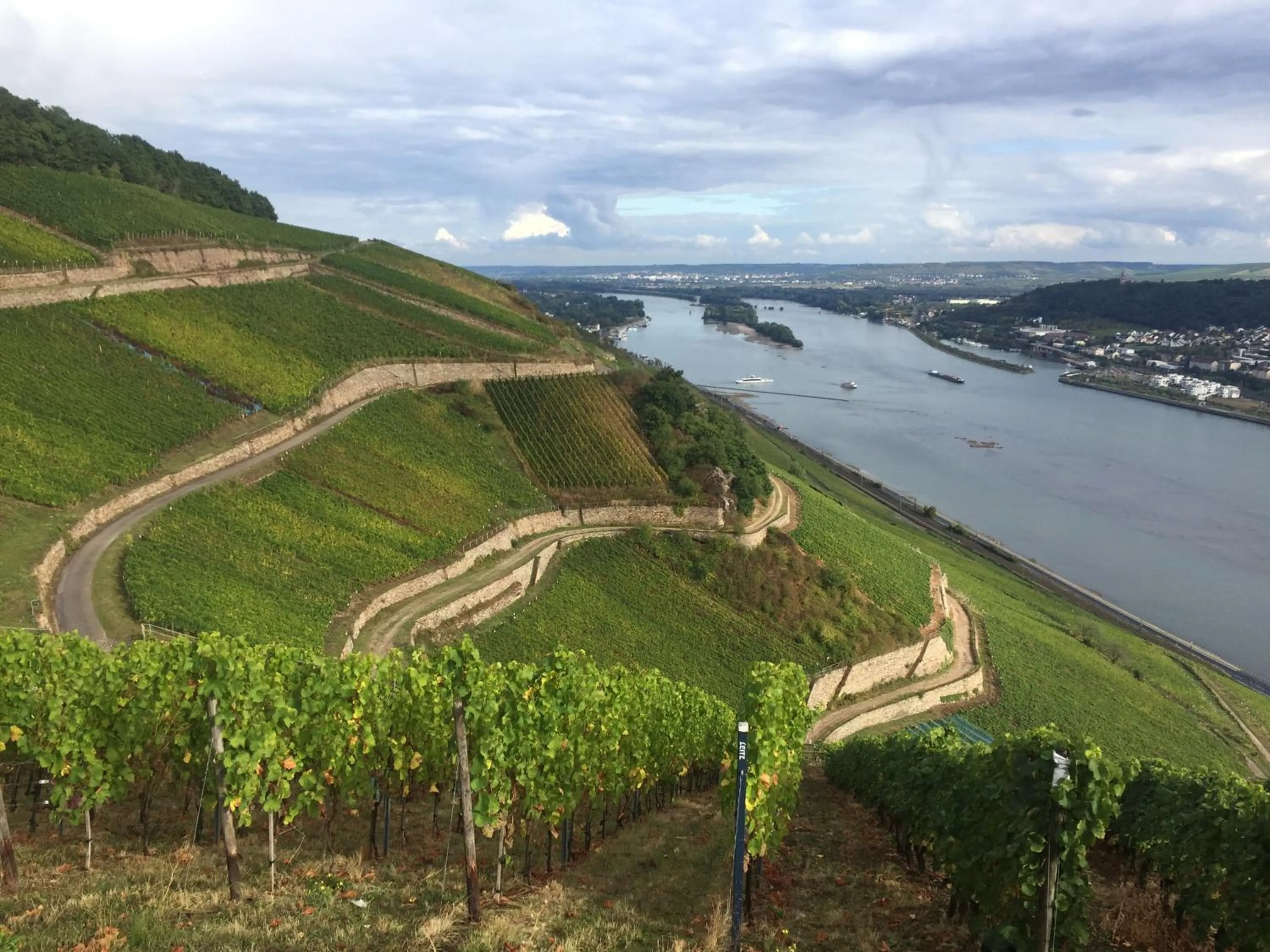 Neighbourhood in Hotel Trapp