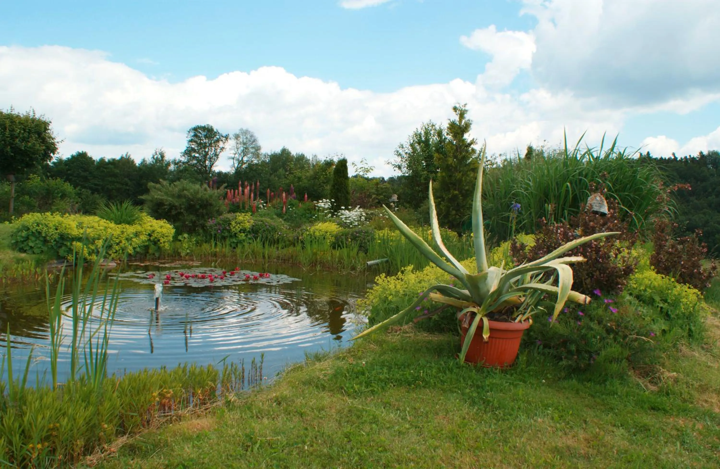 Garden in Ferienwohnung Zur Hopfenkönigin