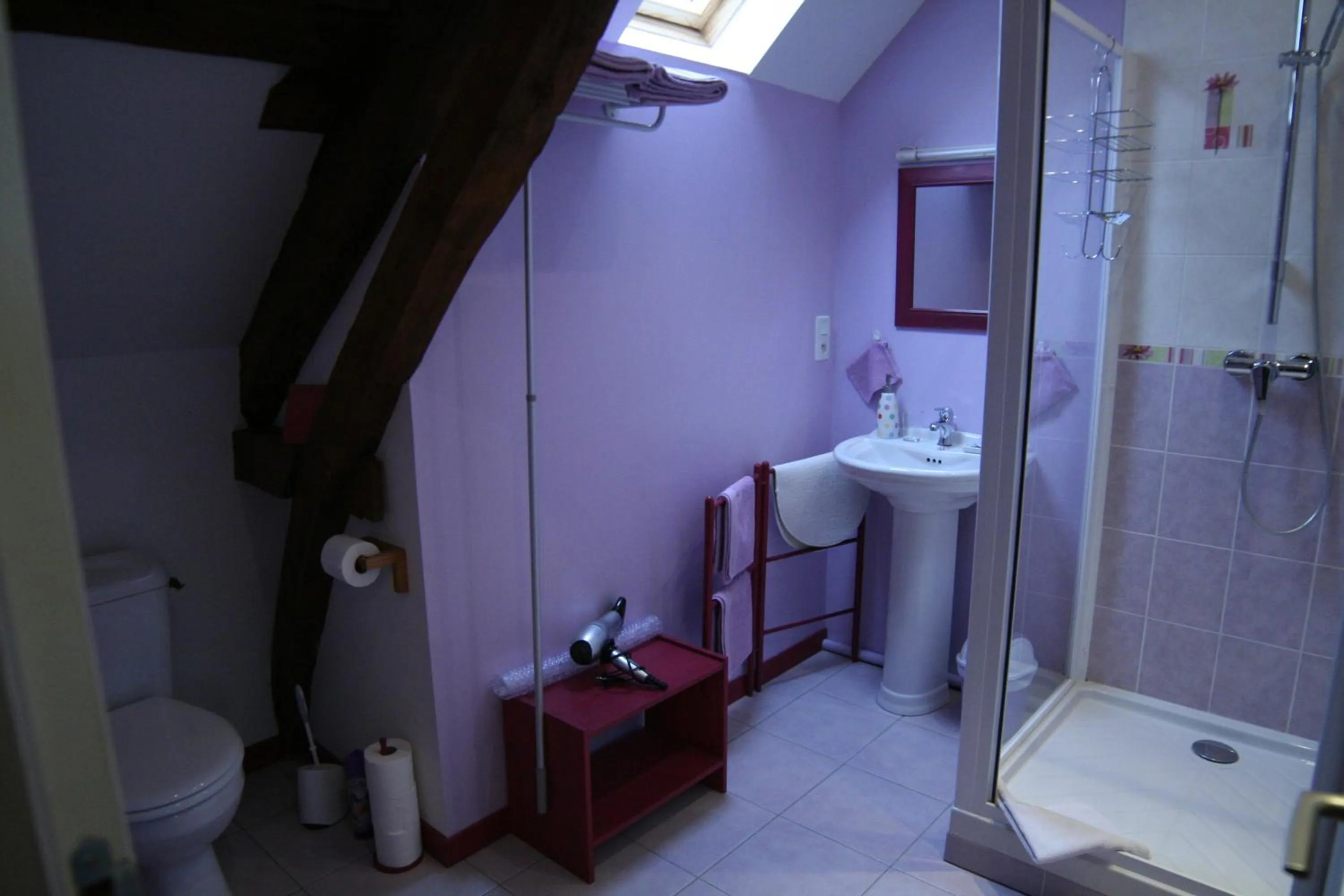 Shower in Chambre d'Hôtes du Domaine de la Haute Poignandiere