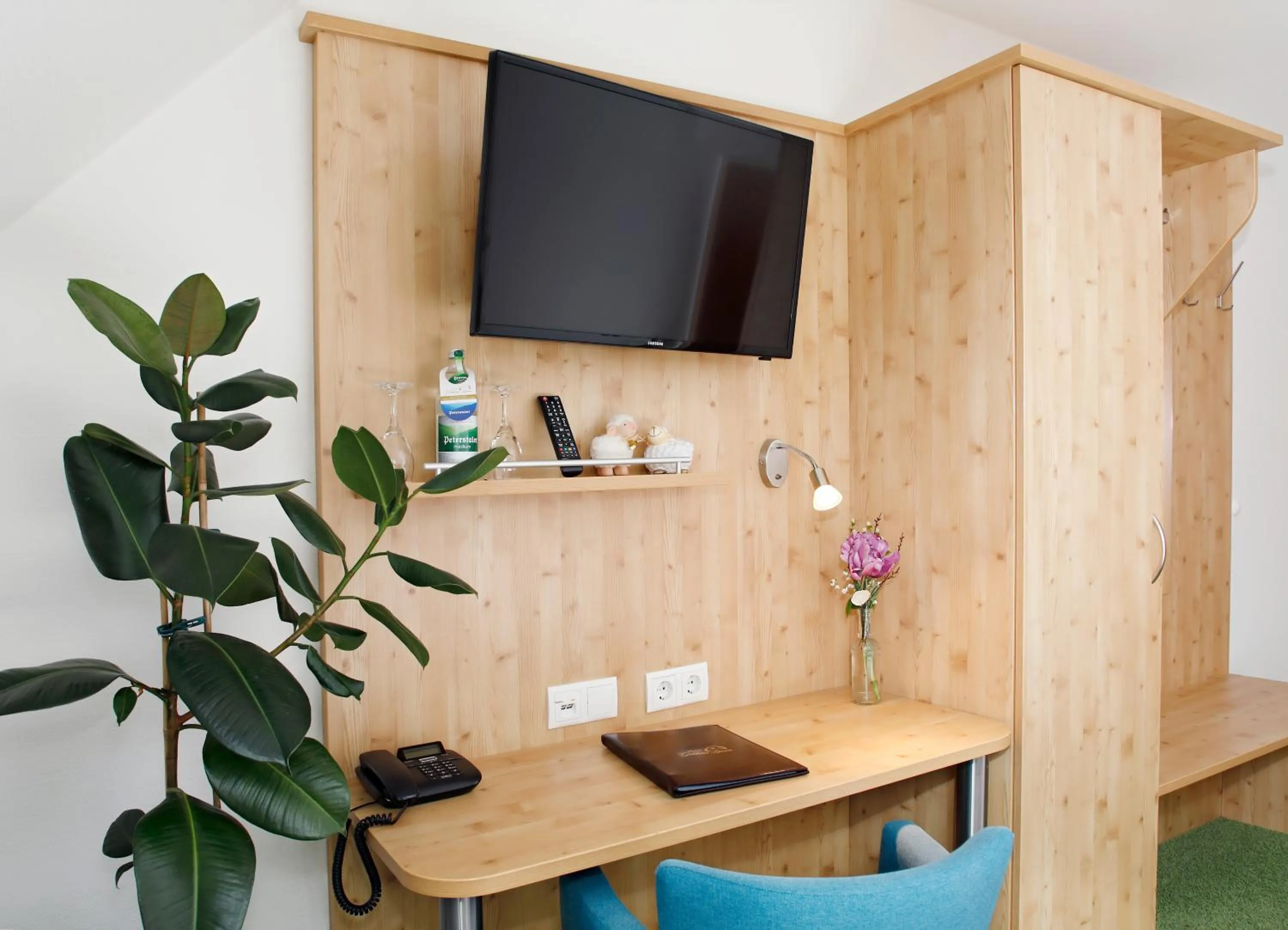 TV and multimedia in Garni-Hotel Goldenes Lamm