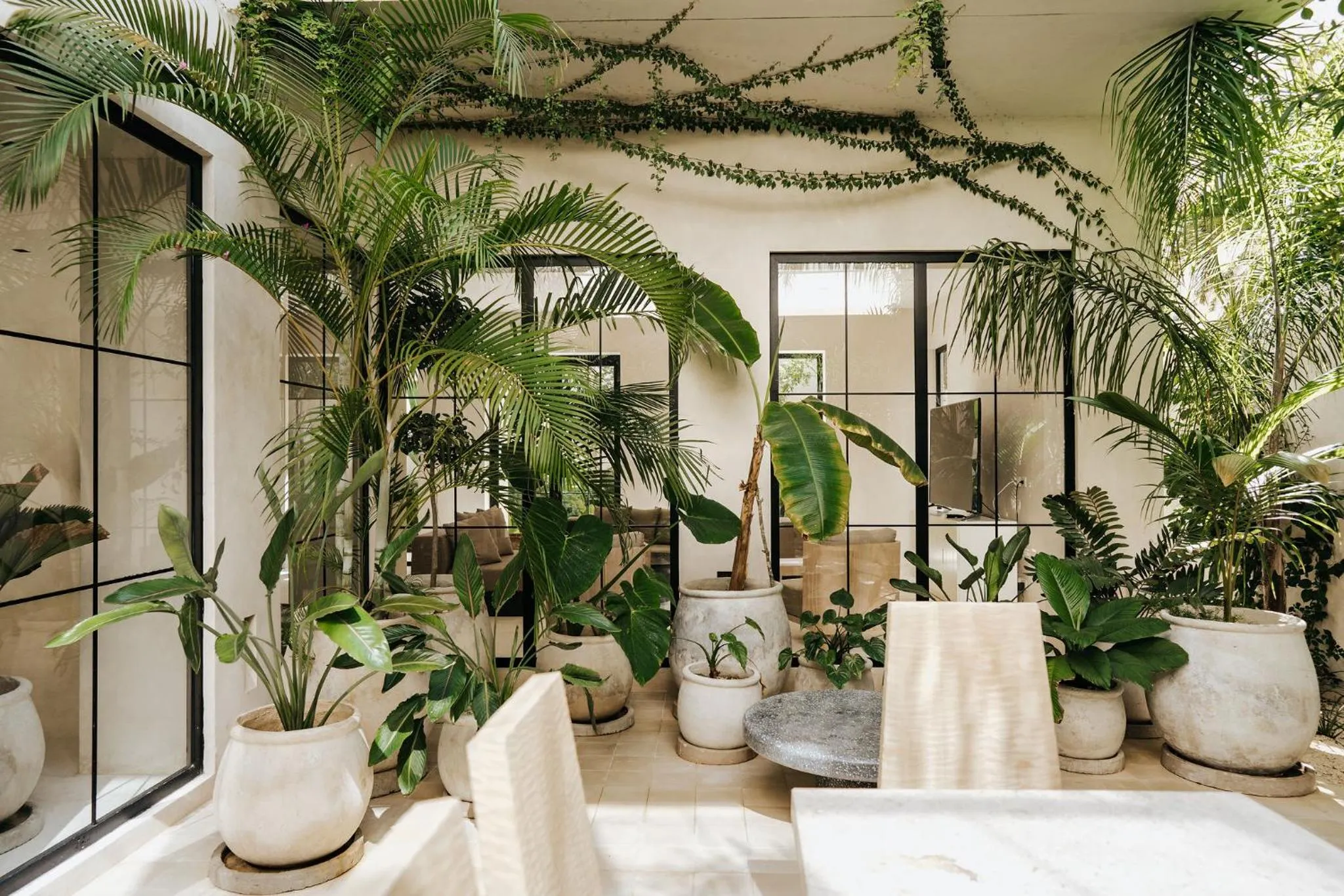 Garden view in Jashita Tulum Luxury Villas