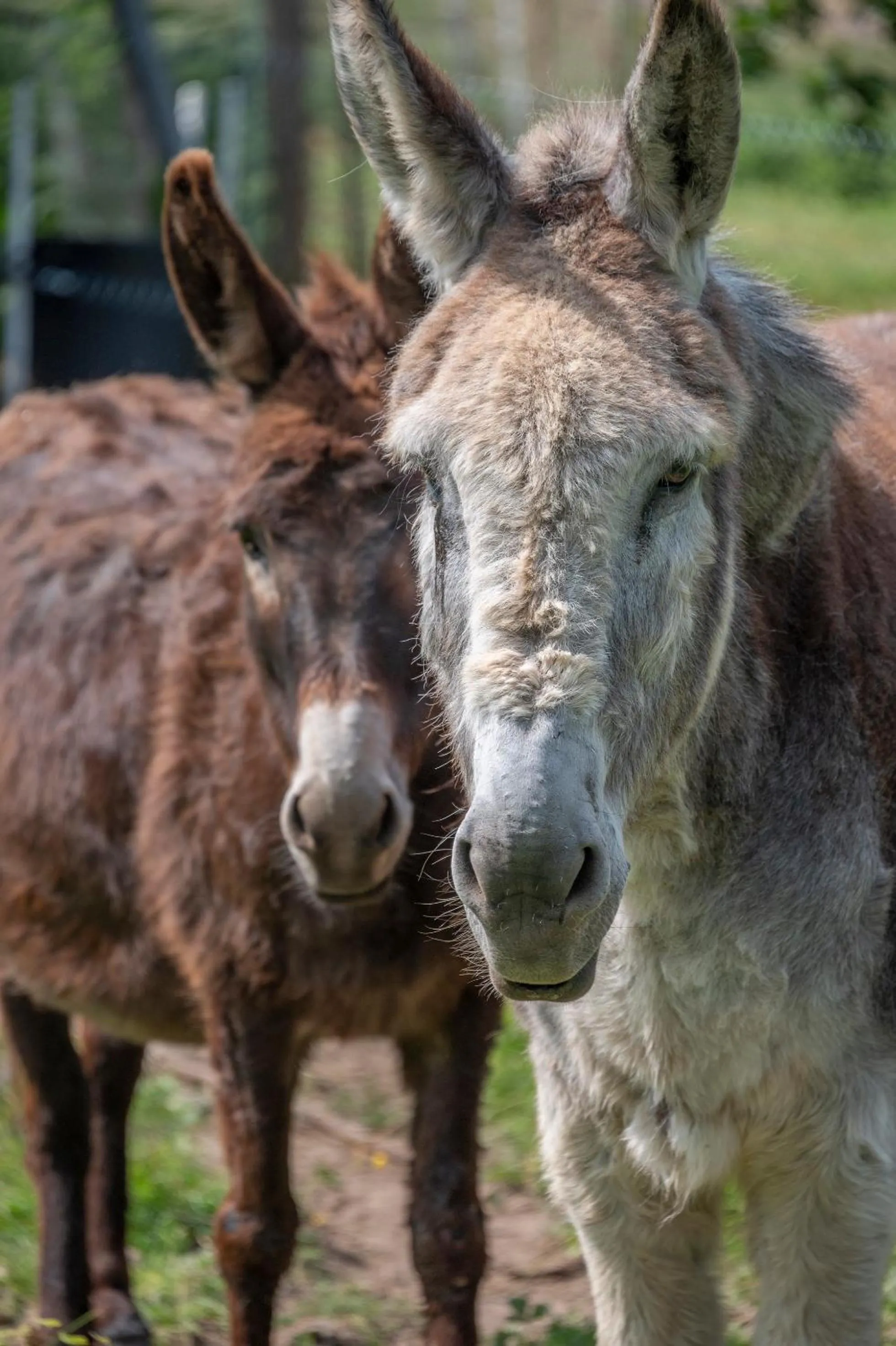 Bathroom in Roulotte le temps de rever