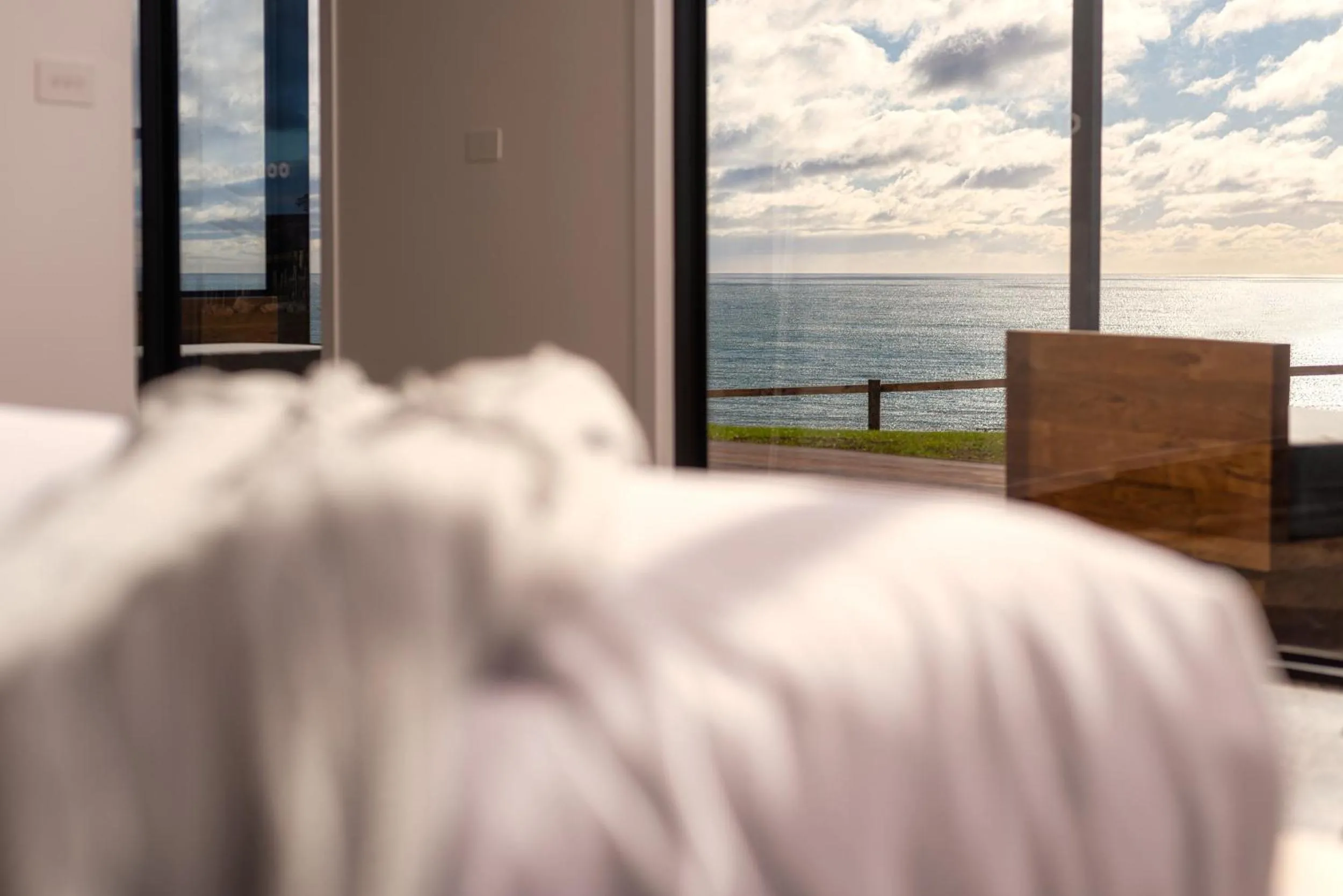 Natural landscape, Bed in The Cove Tasmania