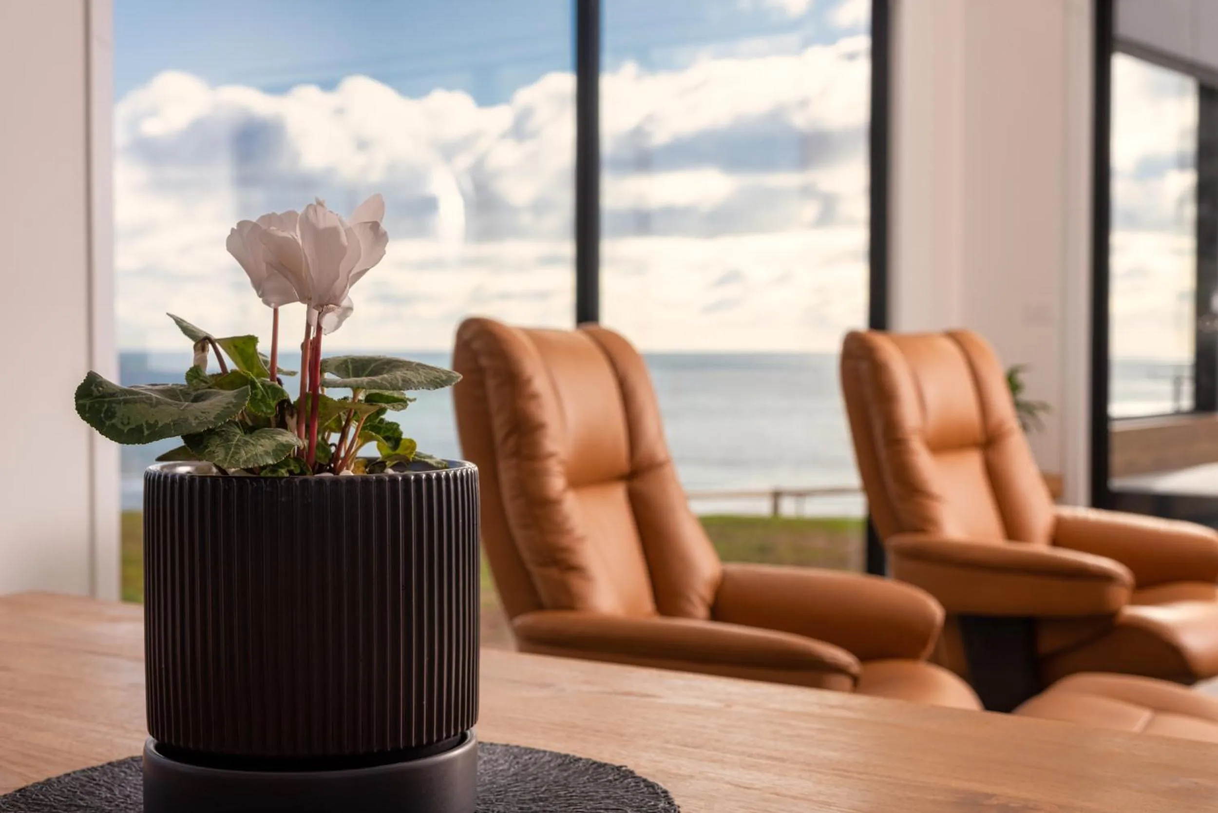 Living room in The Cove Tasmania