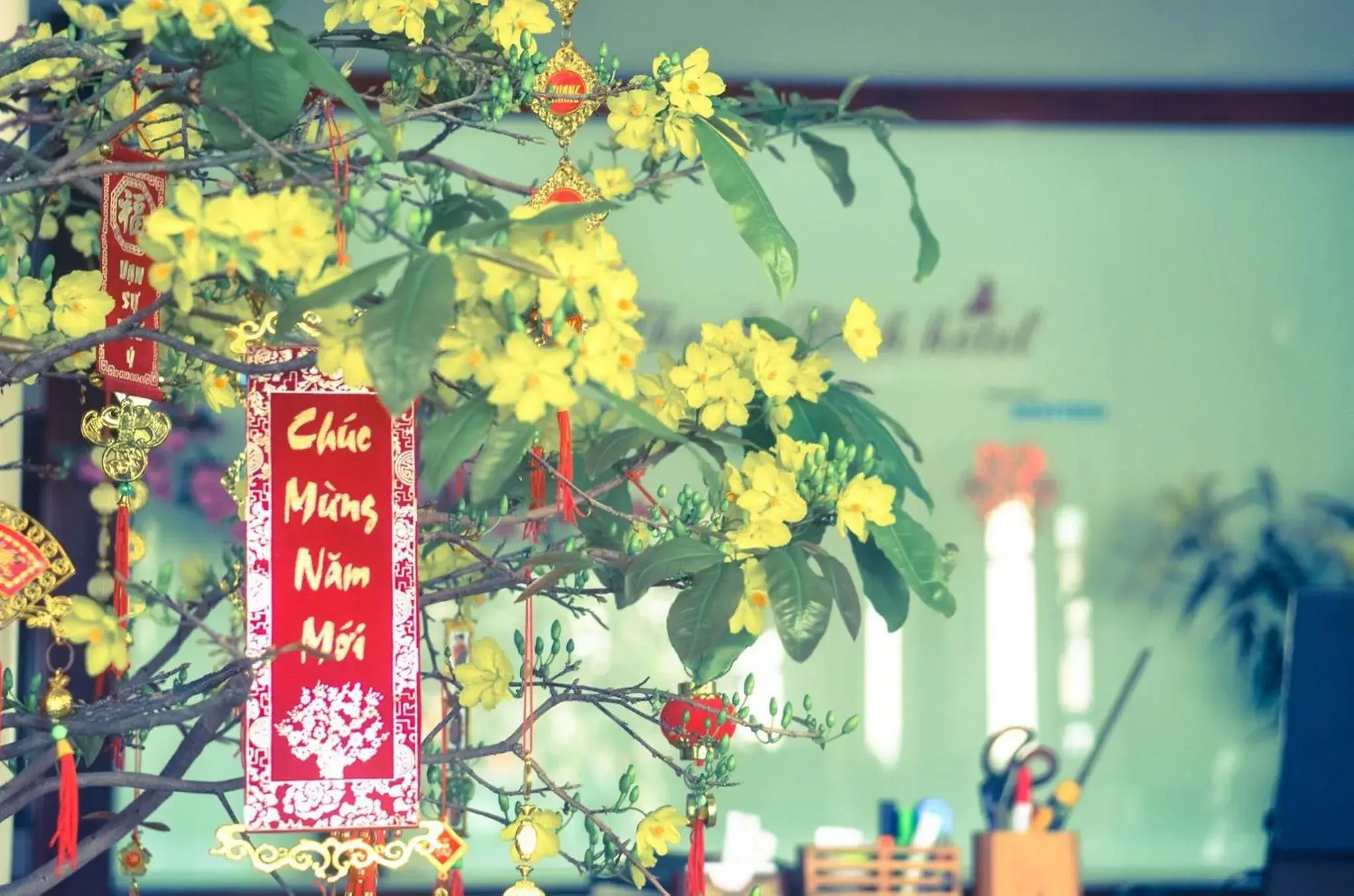 Thanh Binh Hotel Thanh Binh Hotel