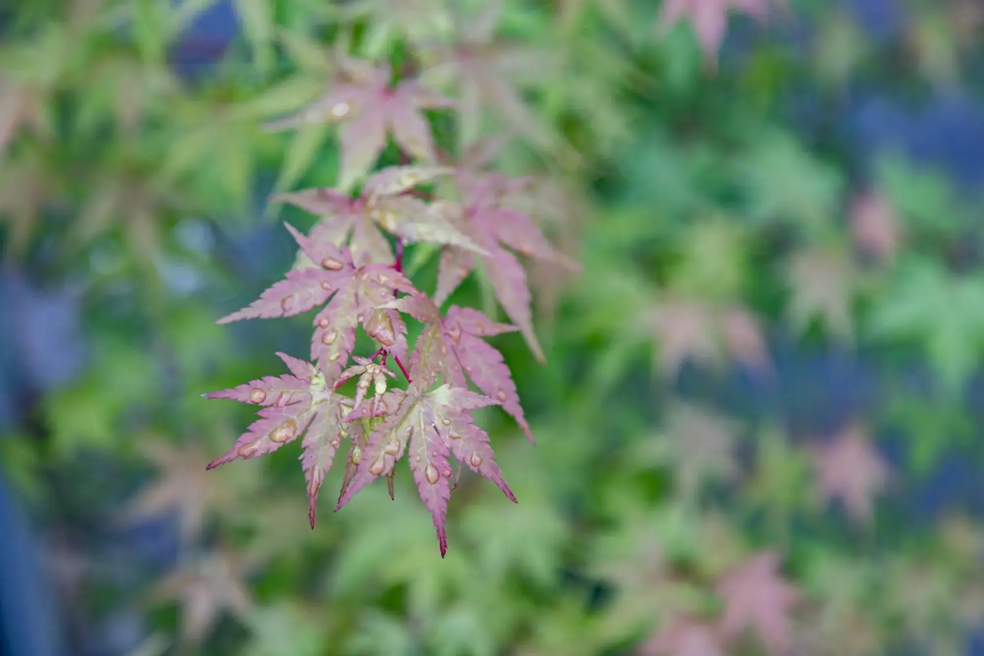 Property building in MADOKA Kyoto station west Property building in MADOKA Kyoto station west