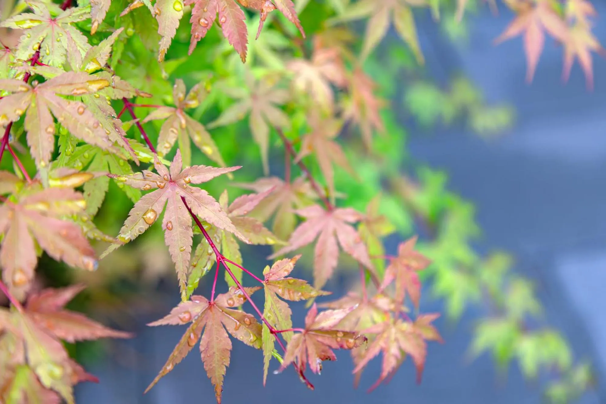 Property building in MADOKA Kyoto station west