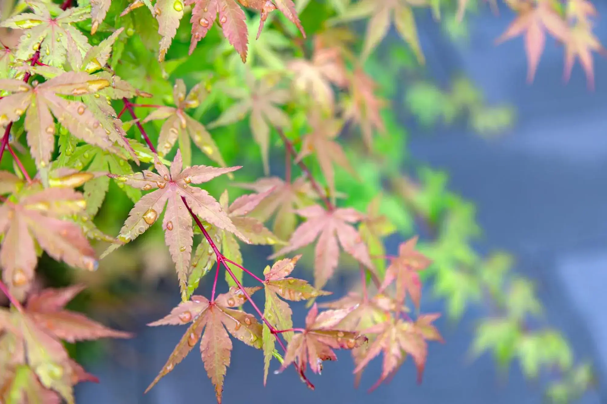 Property building in MADOKA Kyoto station west Property building in MADOKA Kyoto station west