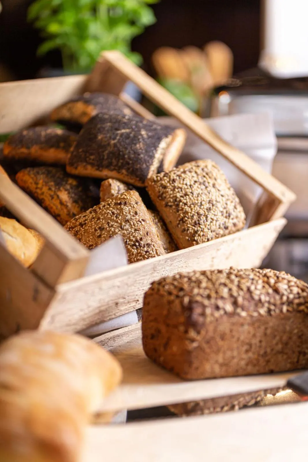 Food and drinks in Hotel DH VEC