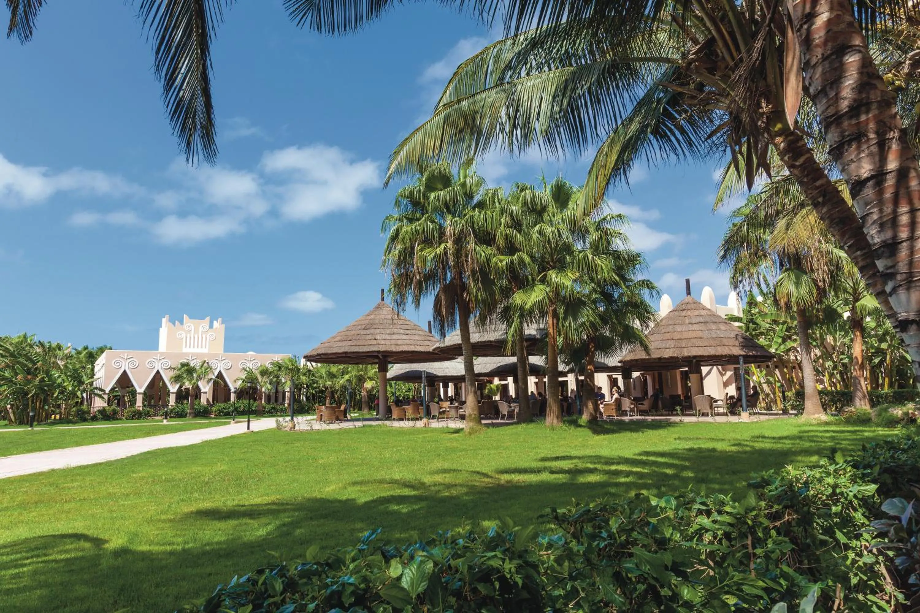 Garden in Hotel Riu Funana - All Inclusive