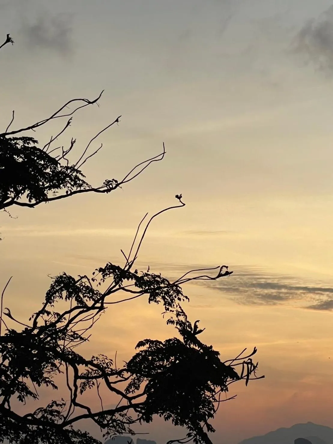 Day in Hillhouse - Koh Yao Noi