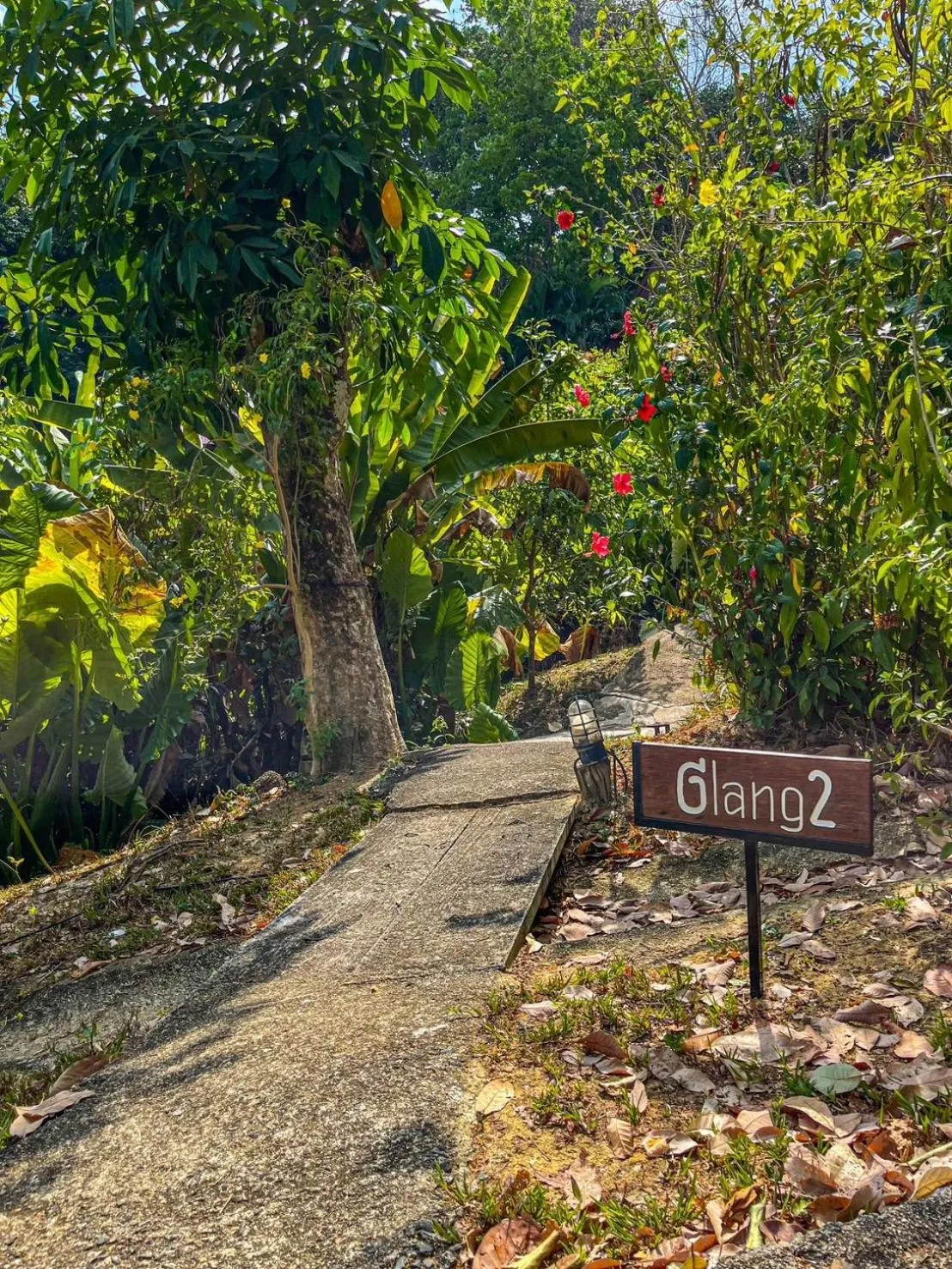 Garden in Hillhouse - Koh Yao Noi
