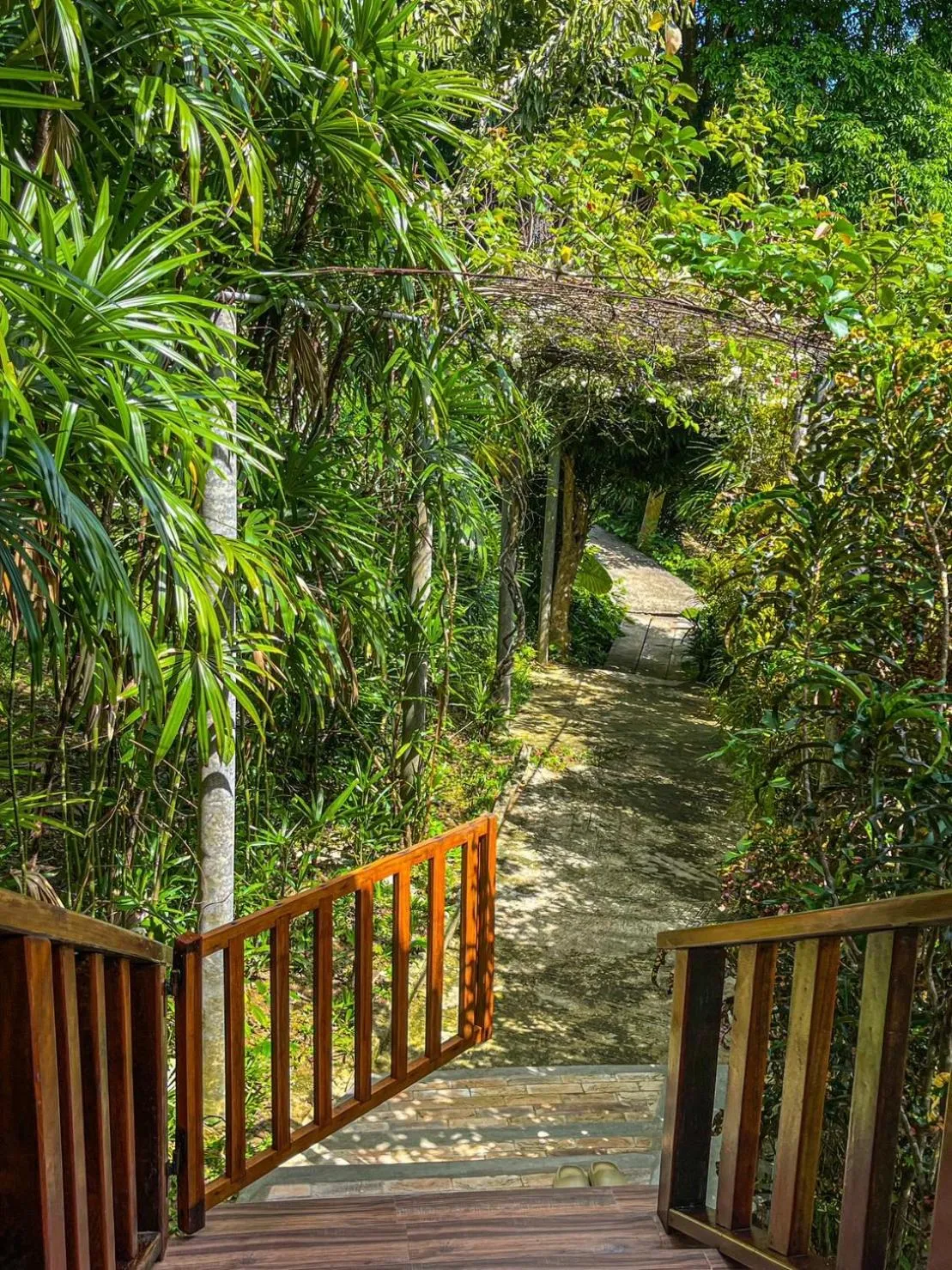 Spring in Hillhouse - Koh Yao Noi