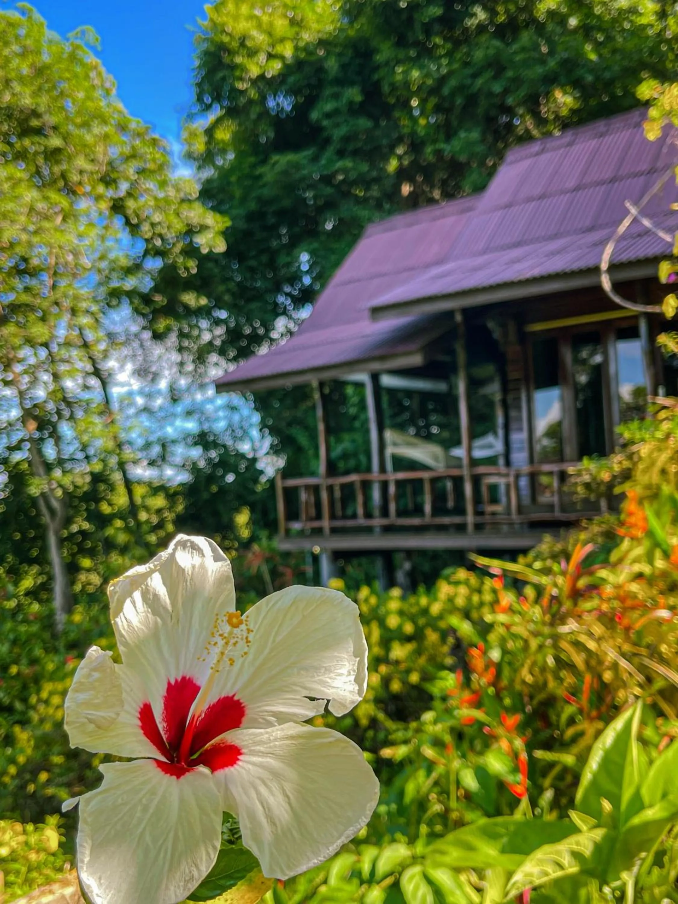 Property building in Hillhouse - Koh Yao Noi