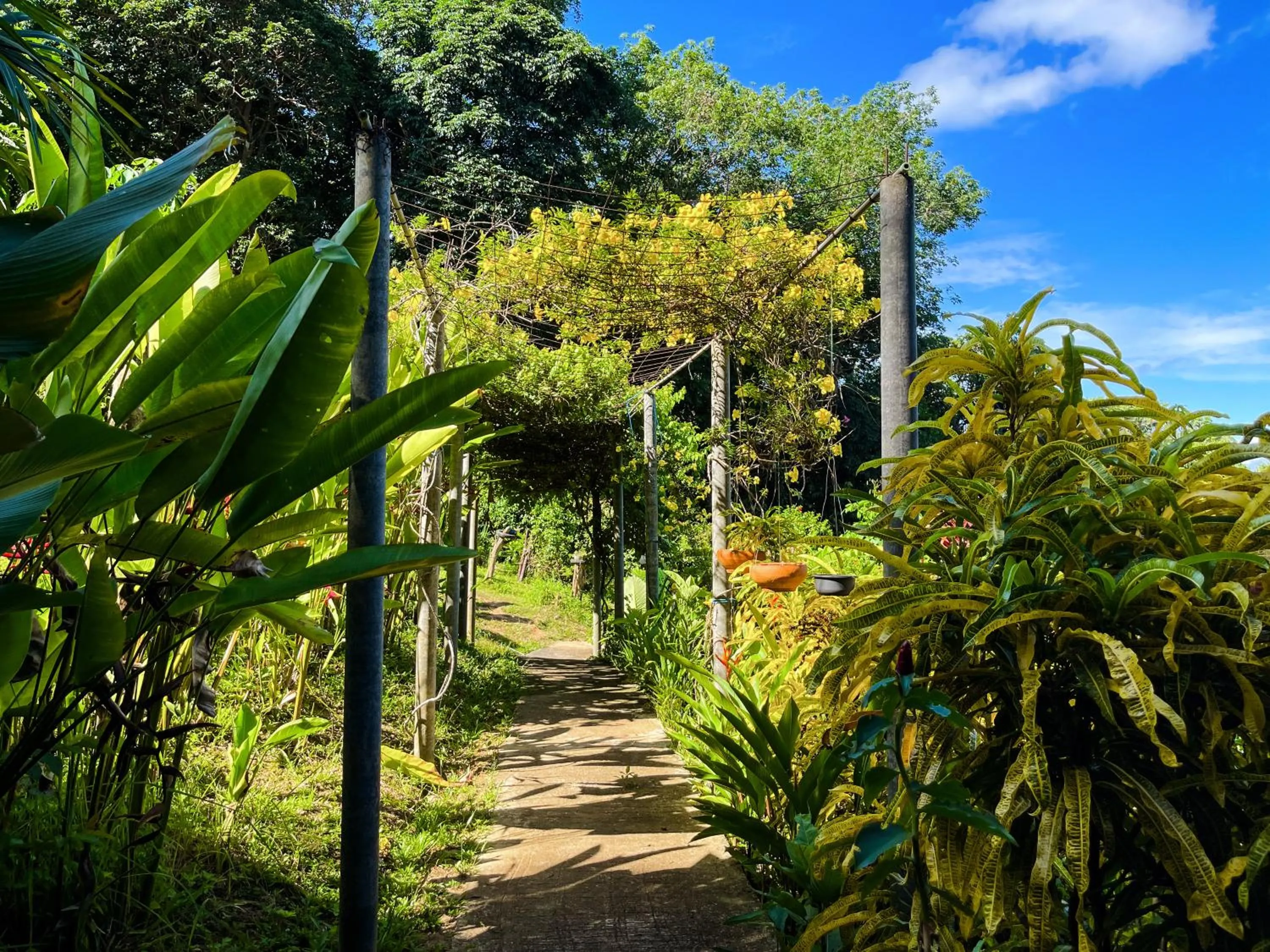 Facade/entrance in Hillhouse - Koh Yao Noi